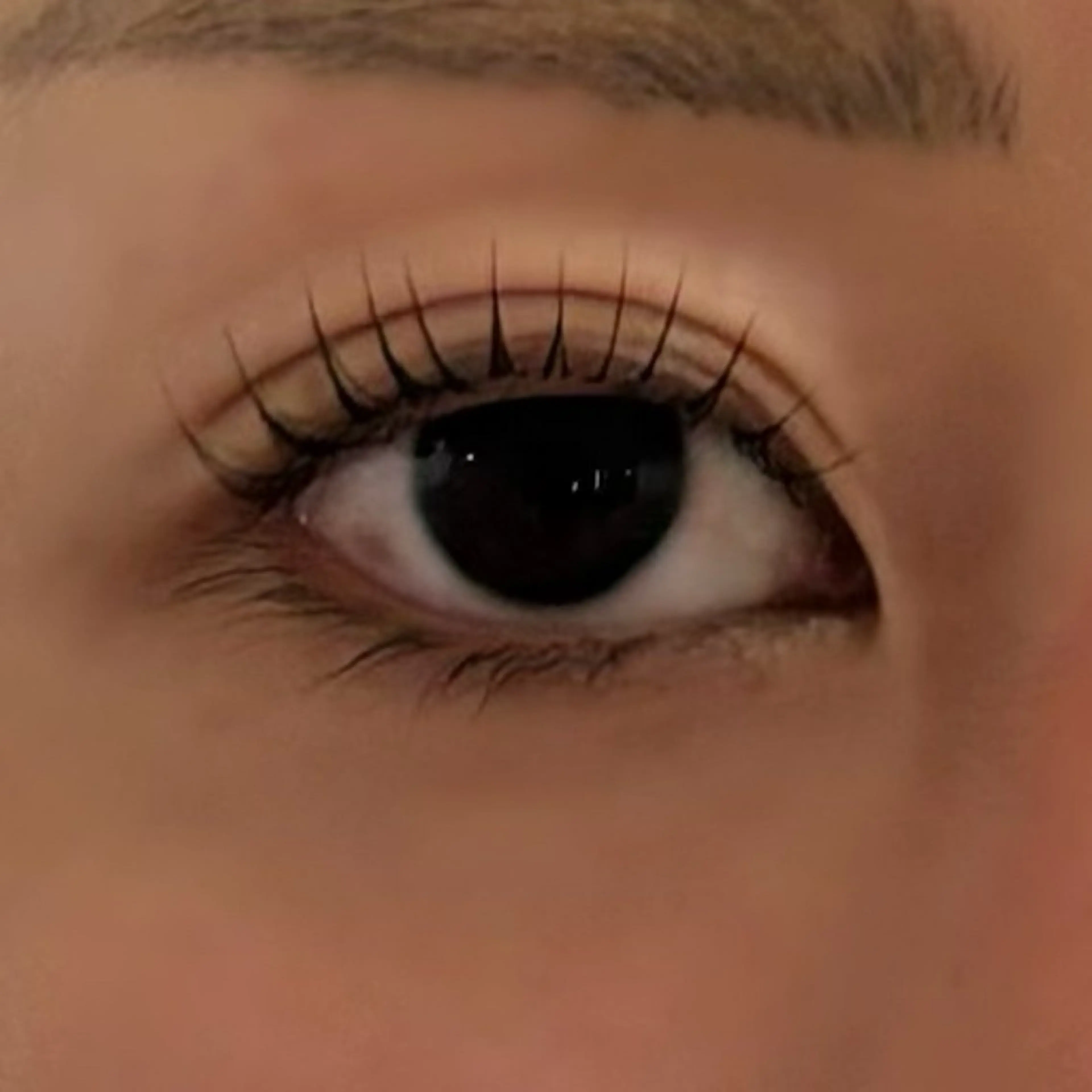 マツエク・マツパ ステラマリス所属・ステラマリス 岸田のマツエク・マツパデザイン