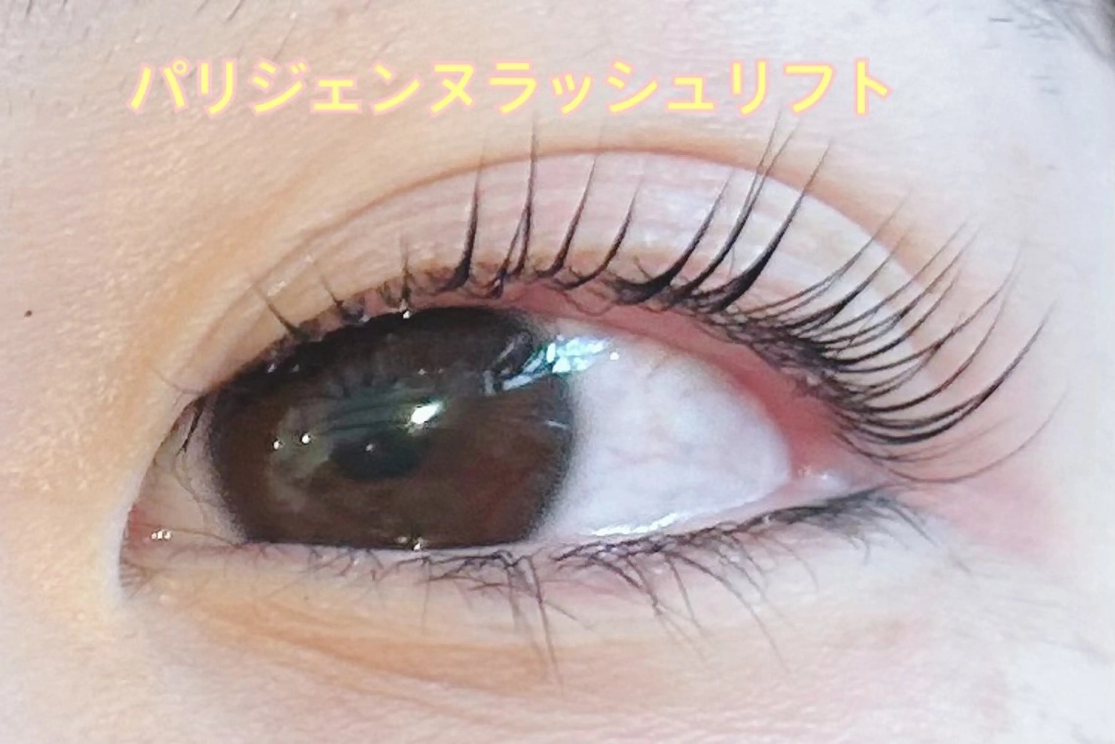 マツエク・マツパ Relyna Eyelash Salon所属・河原 里恵のマツエク・マツパデザイン