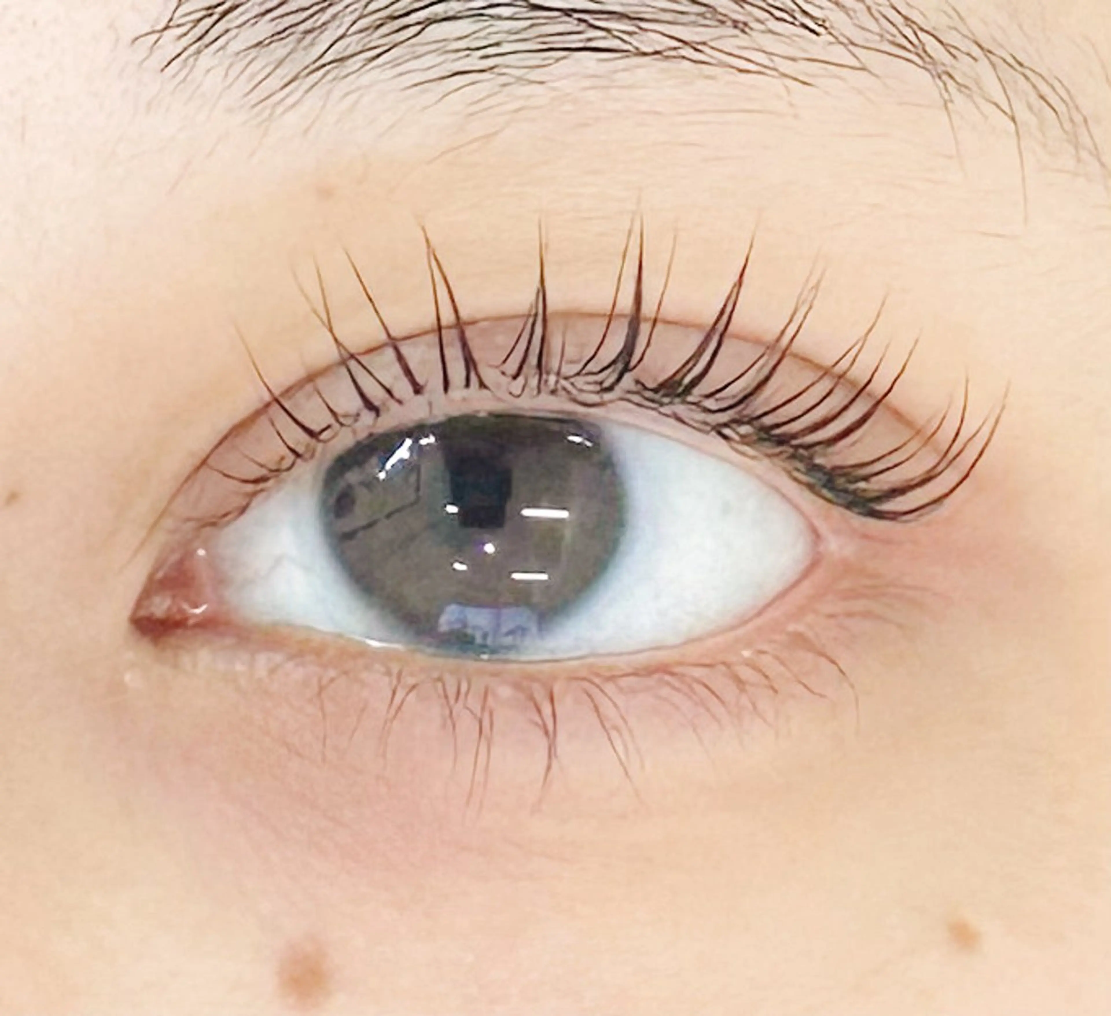 マツエク・マツパ Petila パティラ所属・Petila🐈‍⬛ Mayuriのマツエク・マツパデザイン