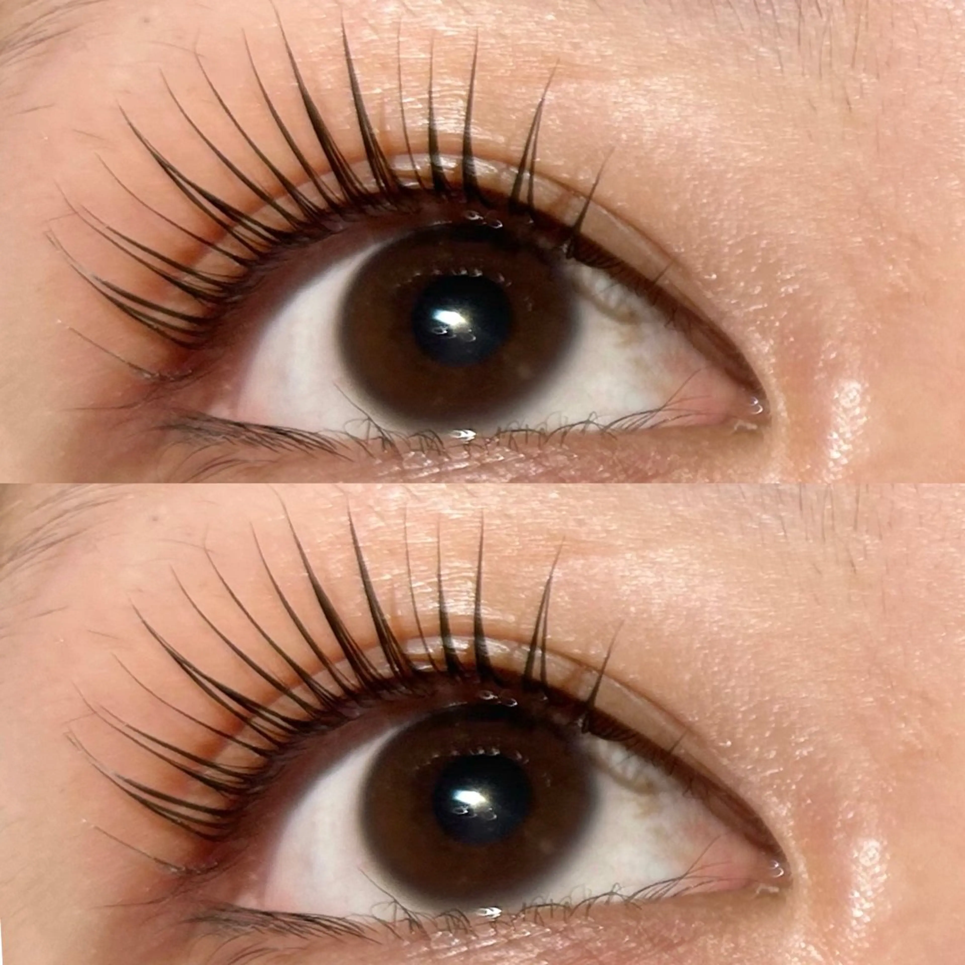 パリジェンヌラッシュリフト+髪質改善トリートメント✨かわいいまつ毛と艶髪同時に手に入れませんか！？✨の写真