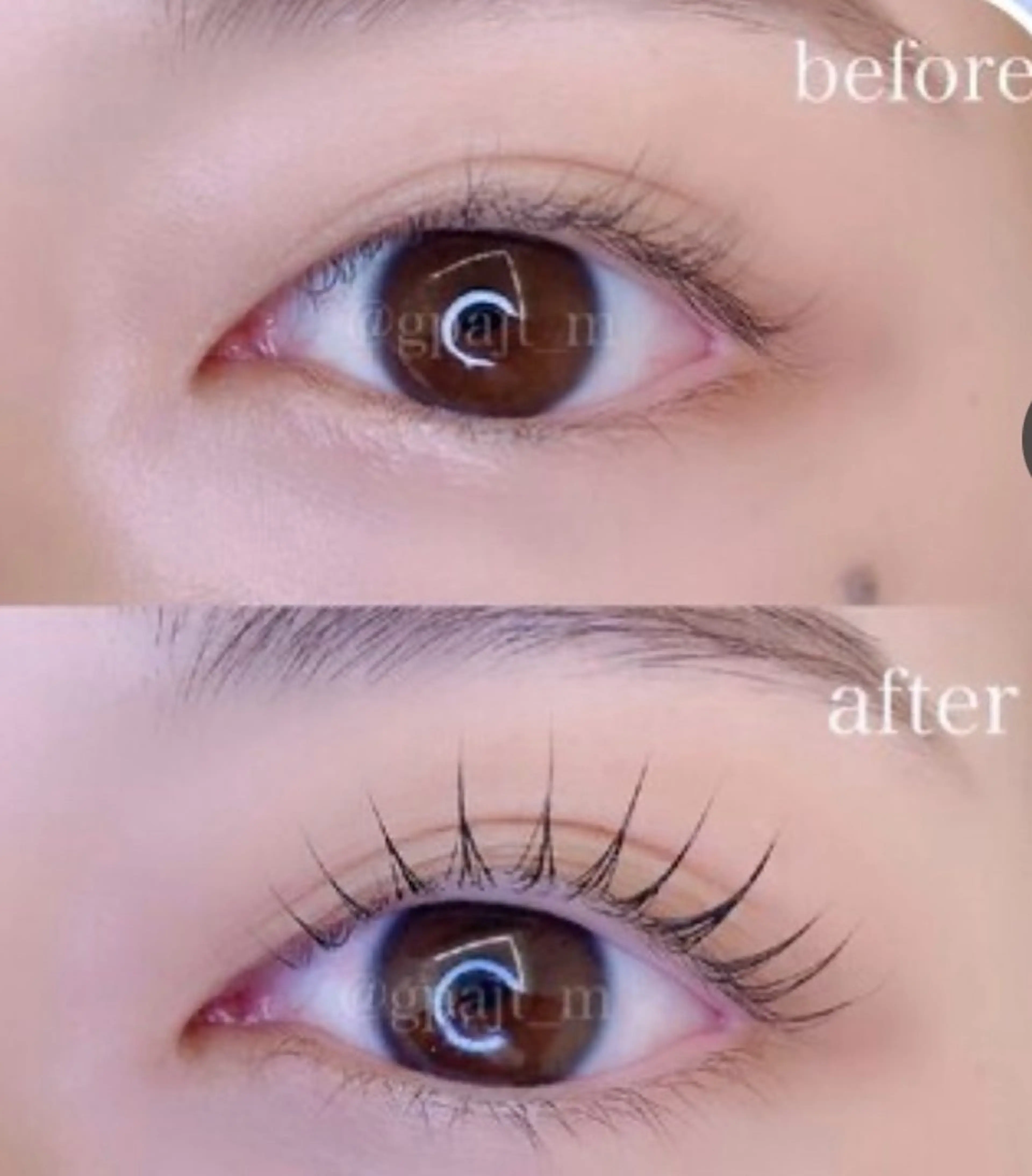 マツエク・マツパ まつげパーマ 眉毛　まつげパーマ ルクス銀座店の眉毛・アイブロウイメージ