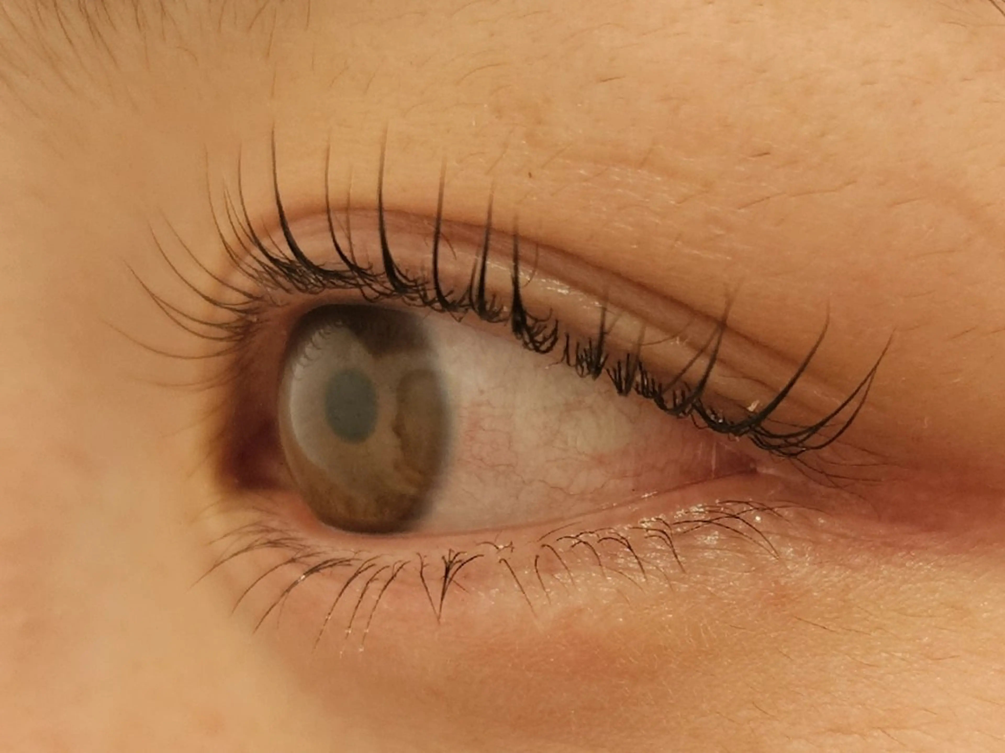 【初めてご来店の方】上下まつげパーマ(トリートメントケア付き♪)の写真