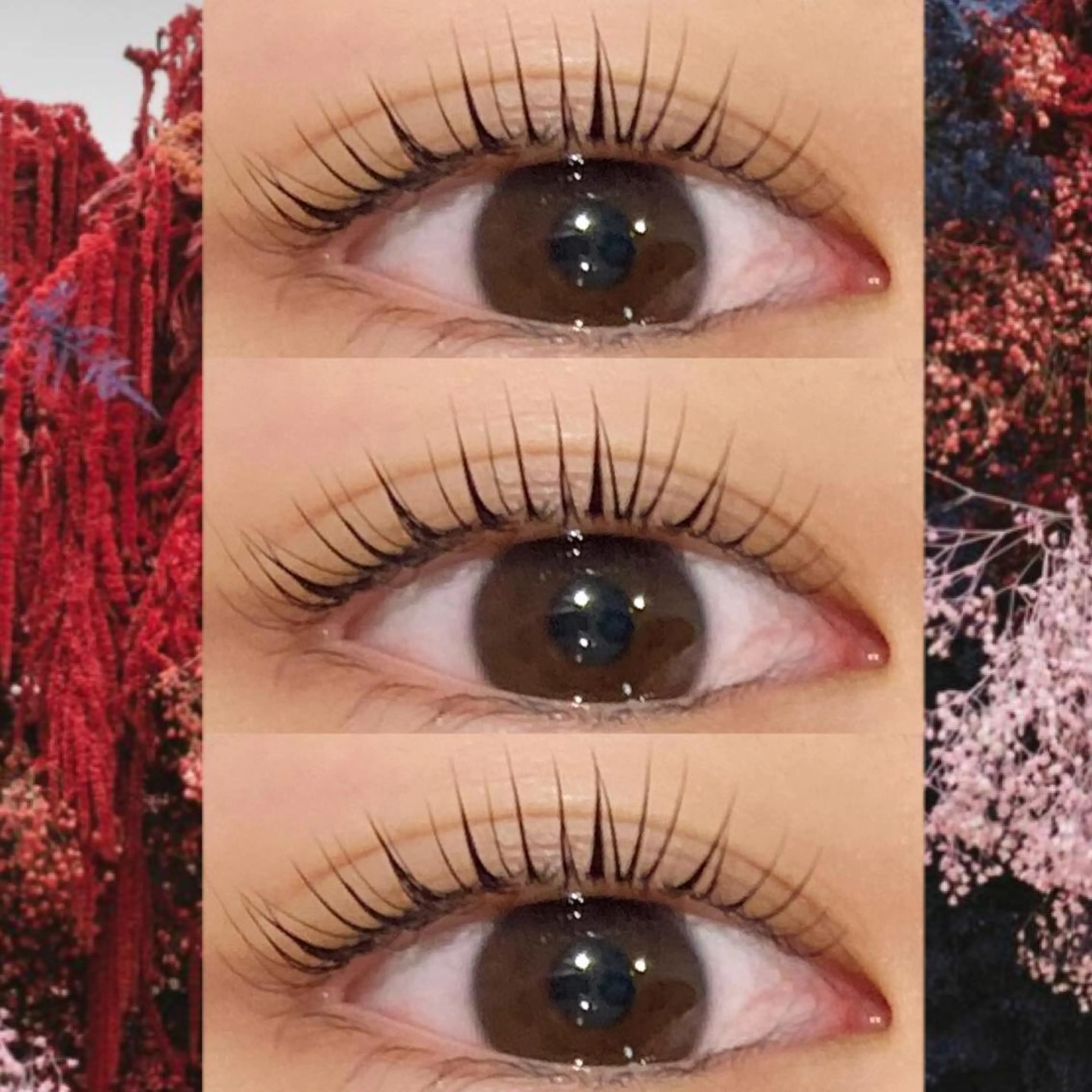 マツエク・マツパ ブラウンラッシュ カラーマツエク フラットラッシュ 韓国風マツエク まつげパーマ orihara𐙚 まつげパーマ/眉毛のマツエク・マツパデザイン