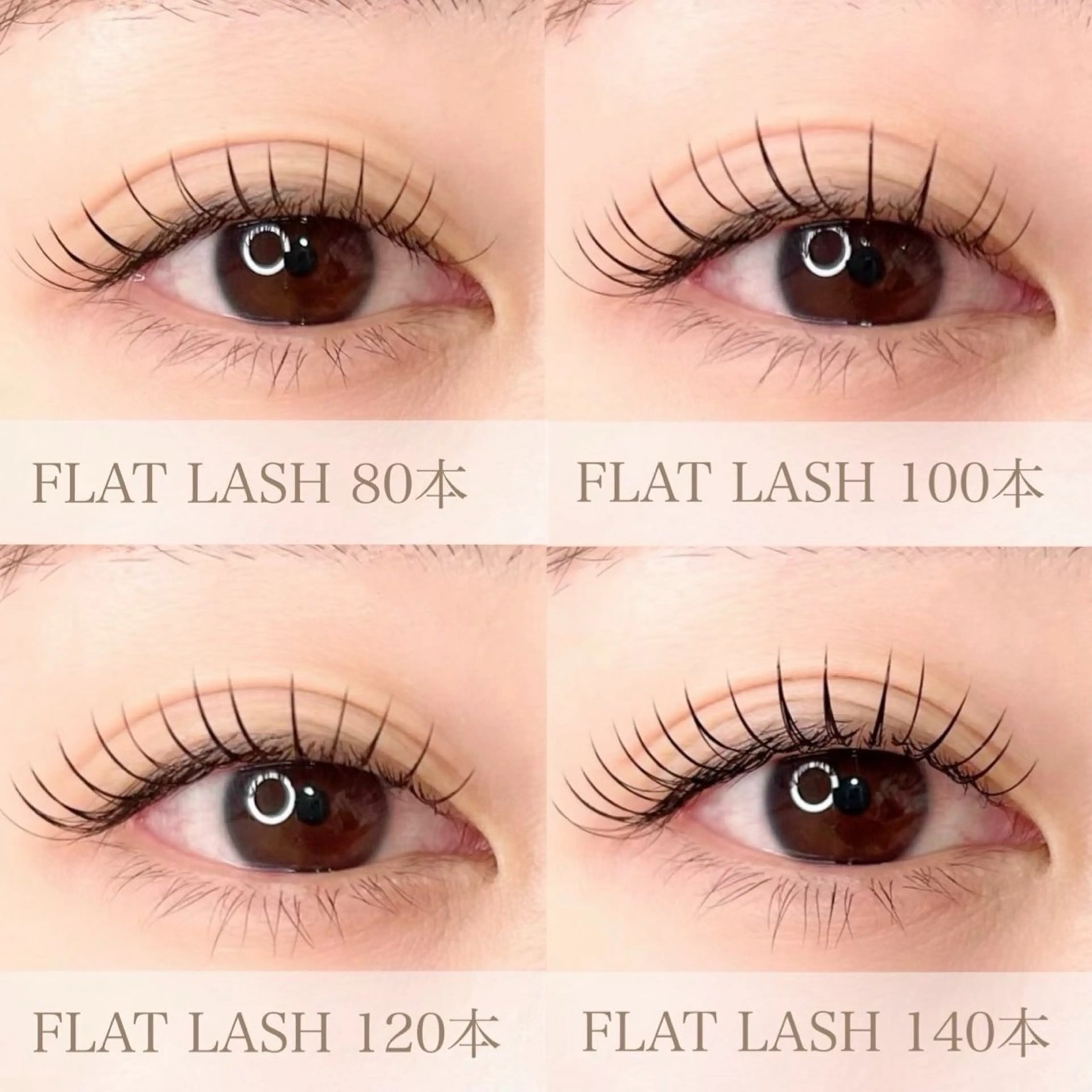 《minimo限定価格》フラットラッシュ100本🪄コーティング付きの写真