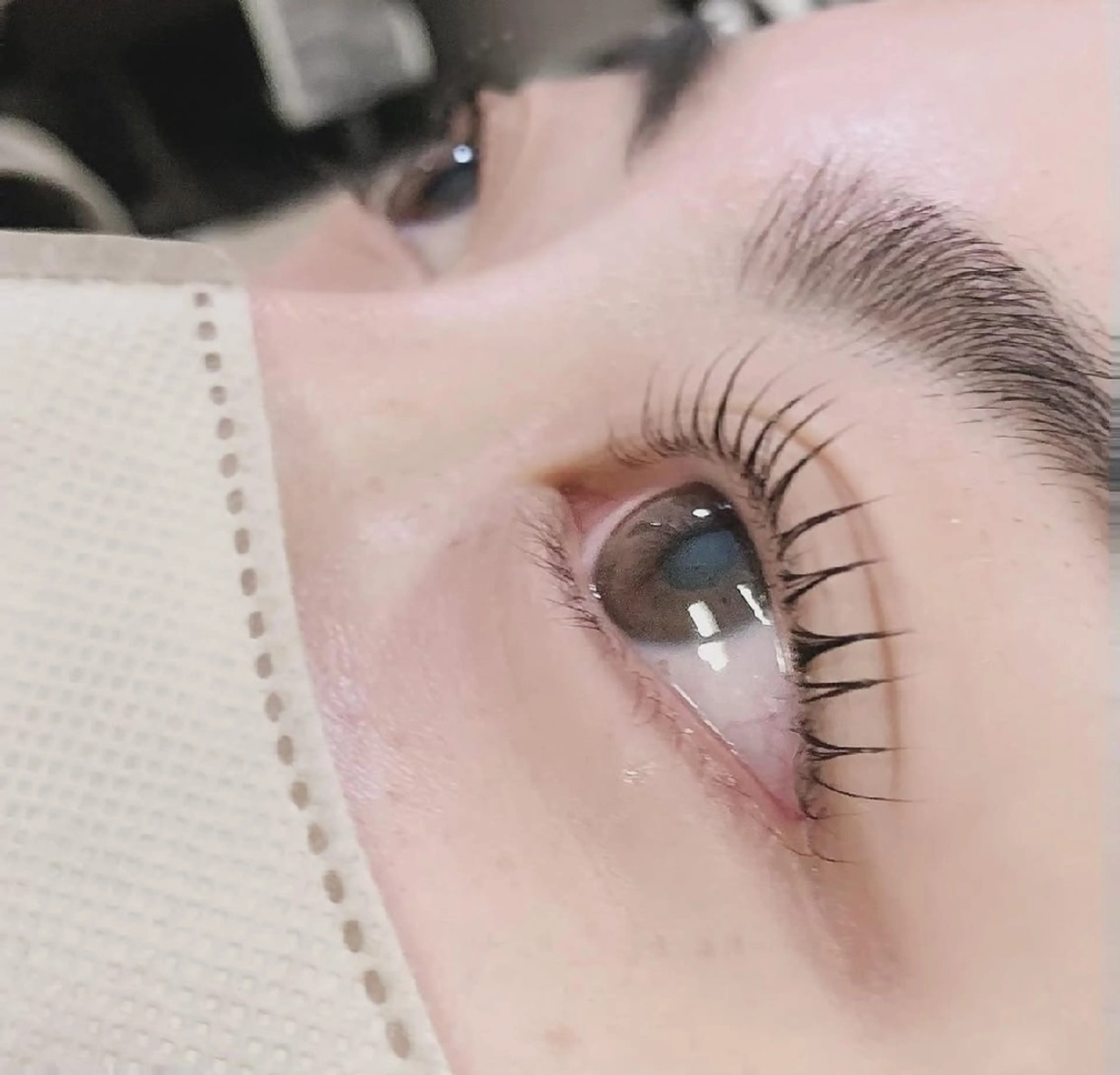 EXTENDまつ毛美容液プレゼント🎅マツエク120本の写真