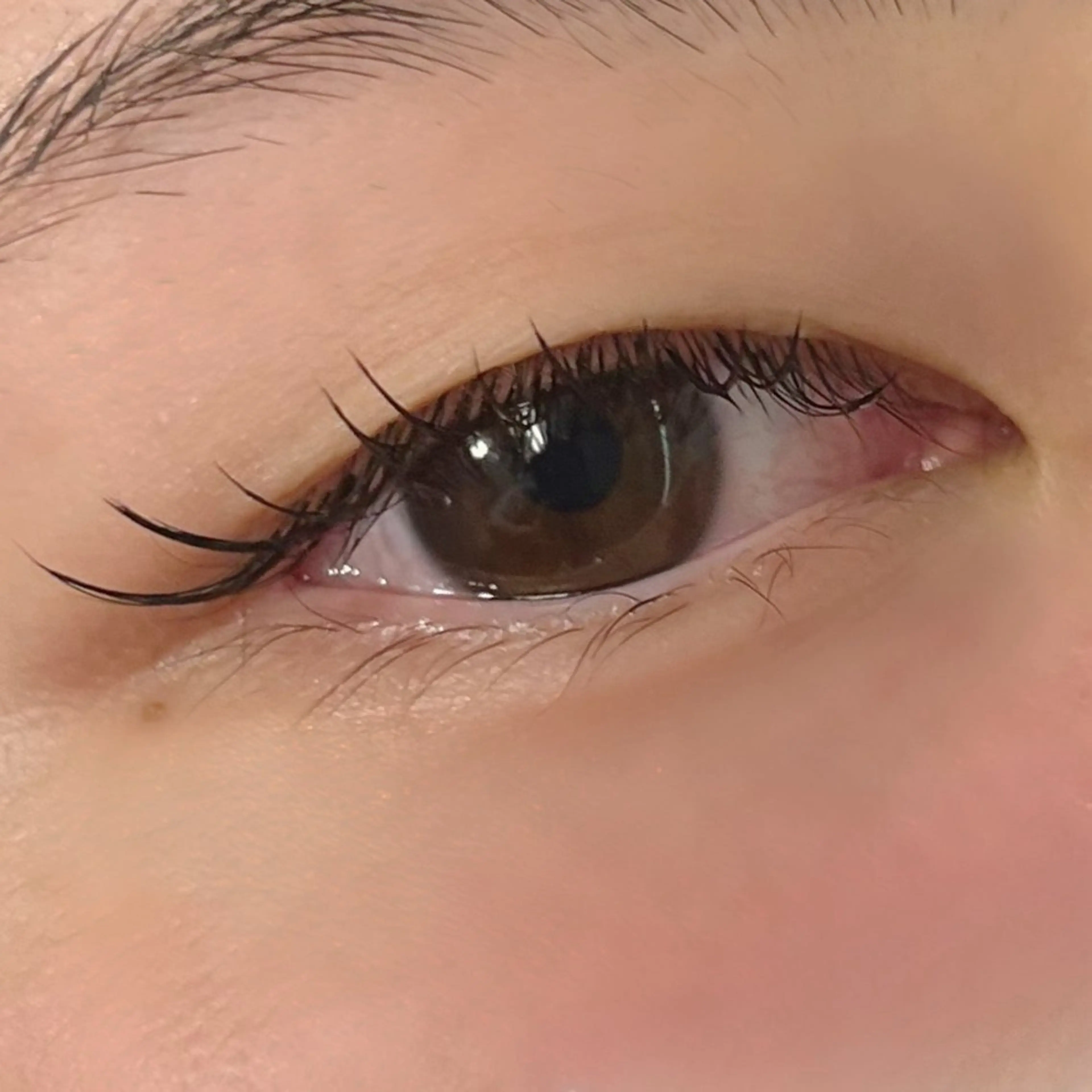 マツエク・マツパ フラットラッシュ Trinity eyelashのマツエク・マツパデザイン