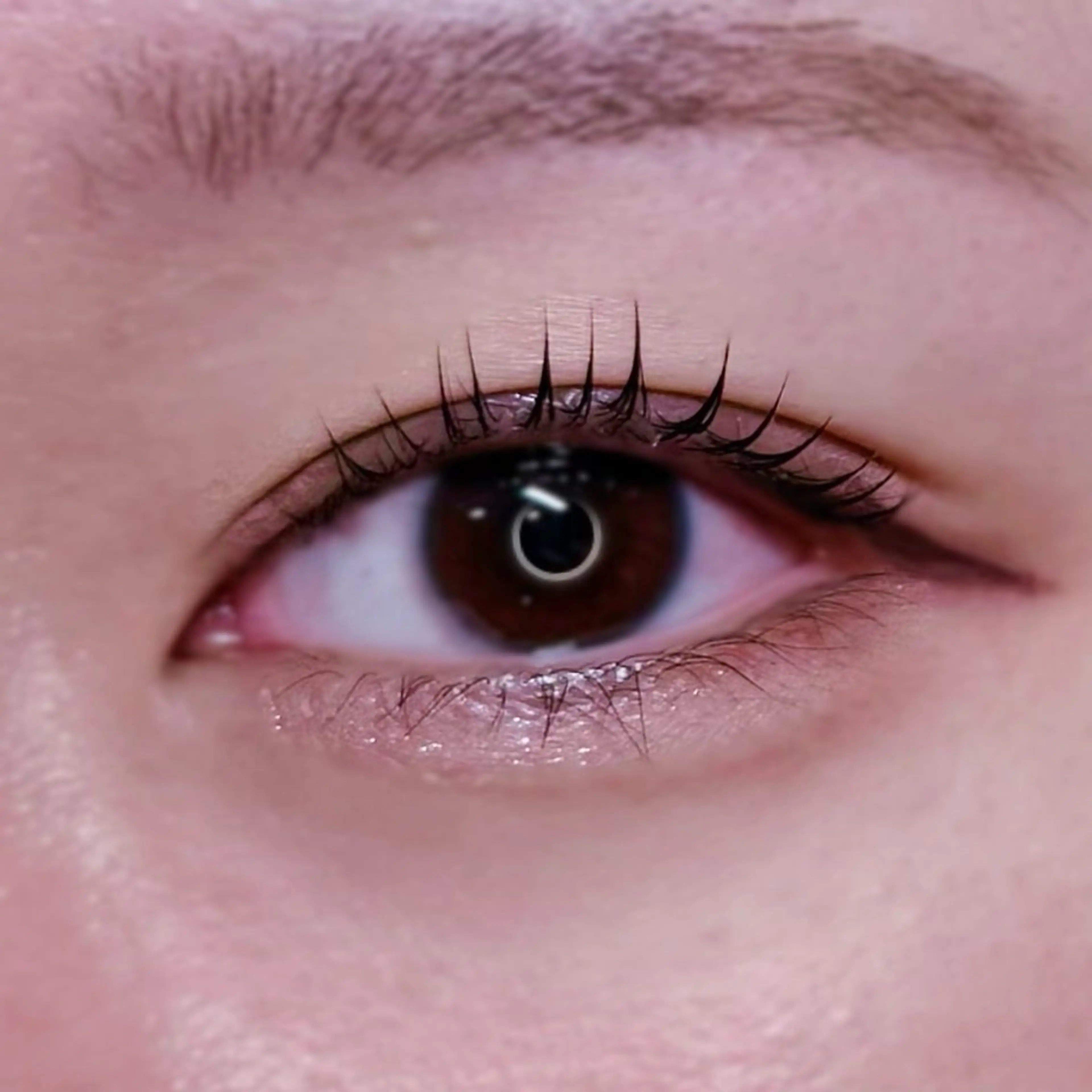 マツエク・マツパ crevia所属・Crevia Chieのマツエク・マツパデザイン