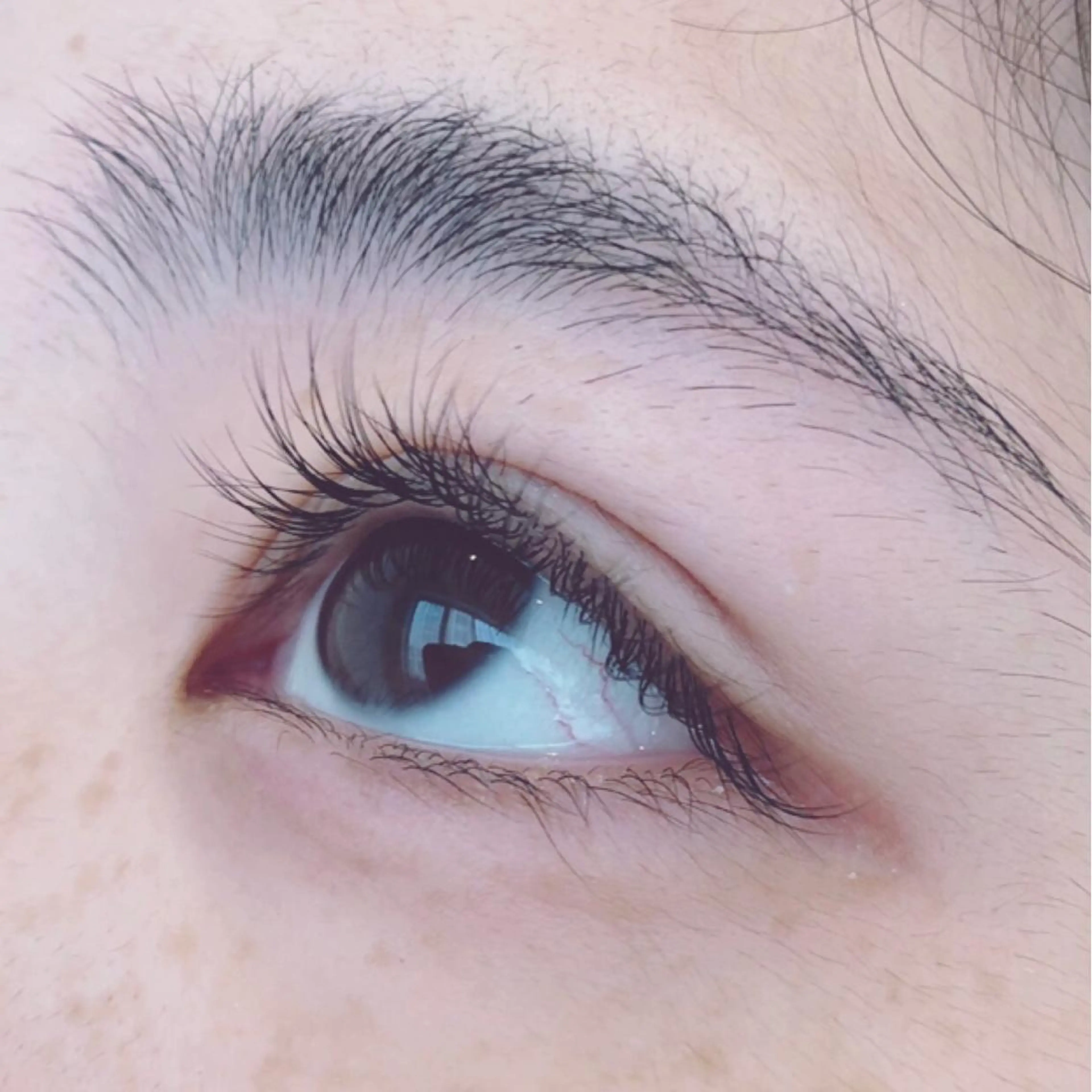 マツエク・マツパ ナチュラル nekoRu アイラッシュのマツエク・マツパデザイン