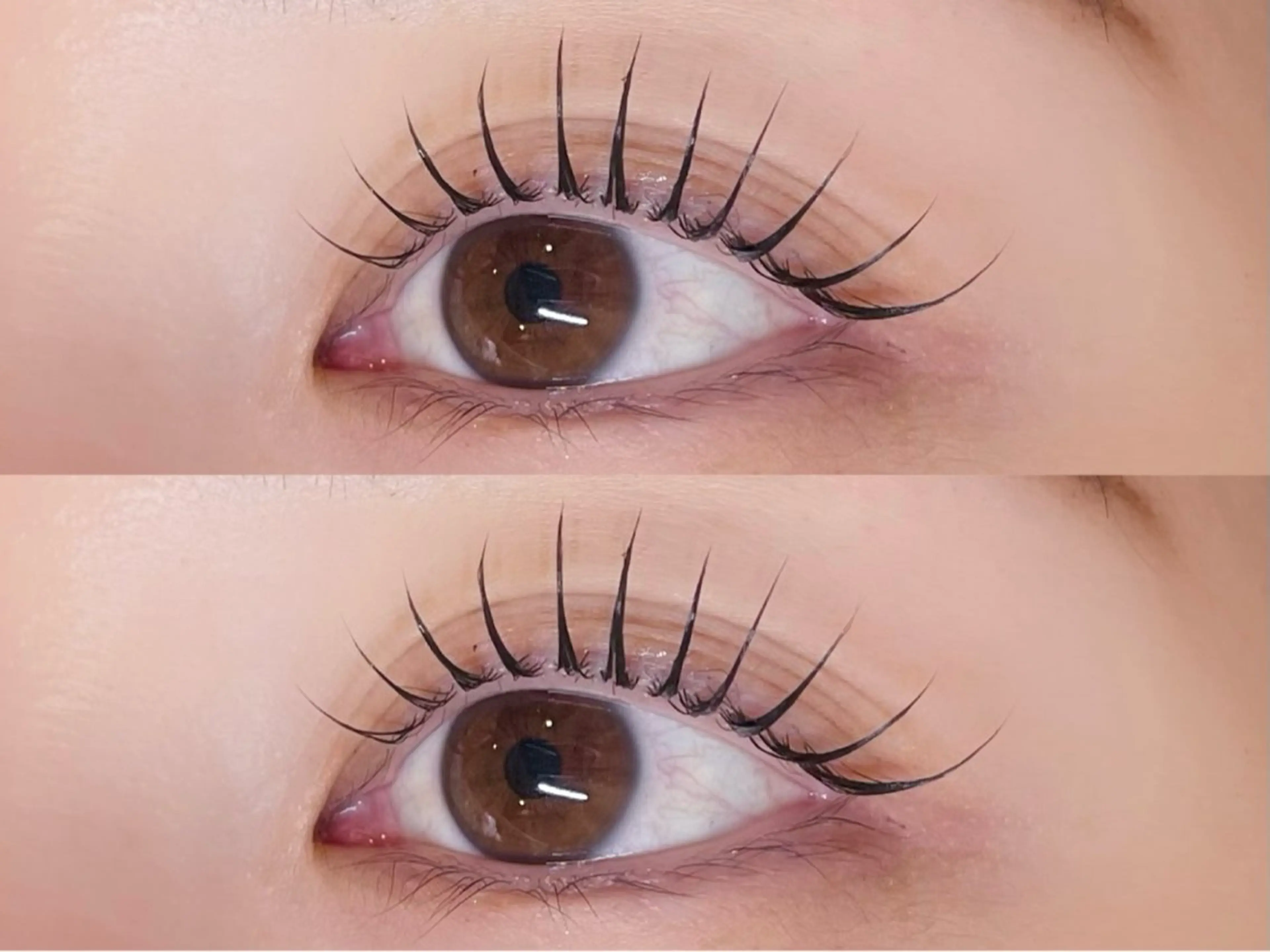 マツエク・マツパ Maazlash 5🐿️のマツエク・マツパデザイン