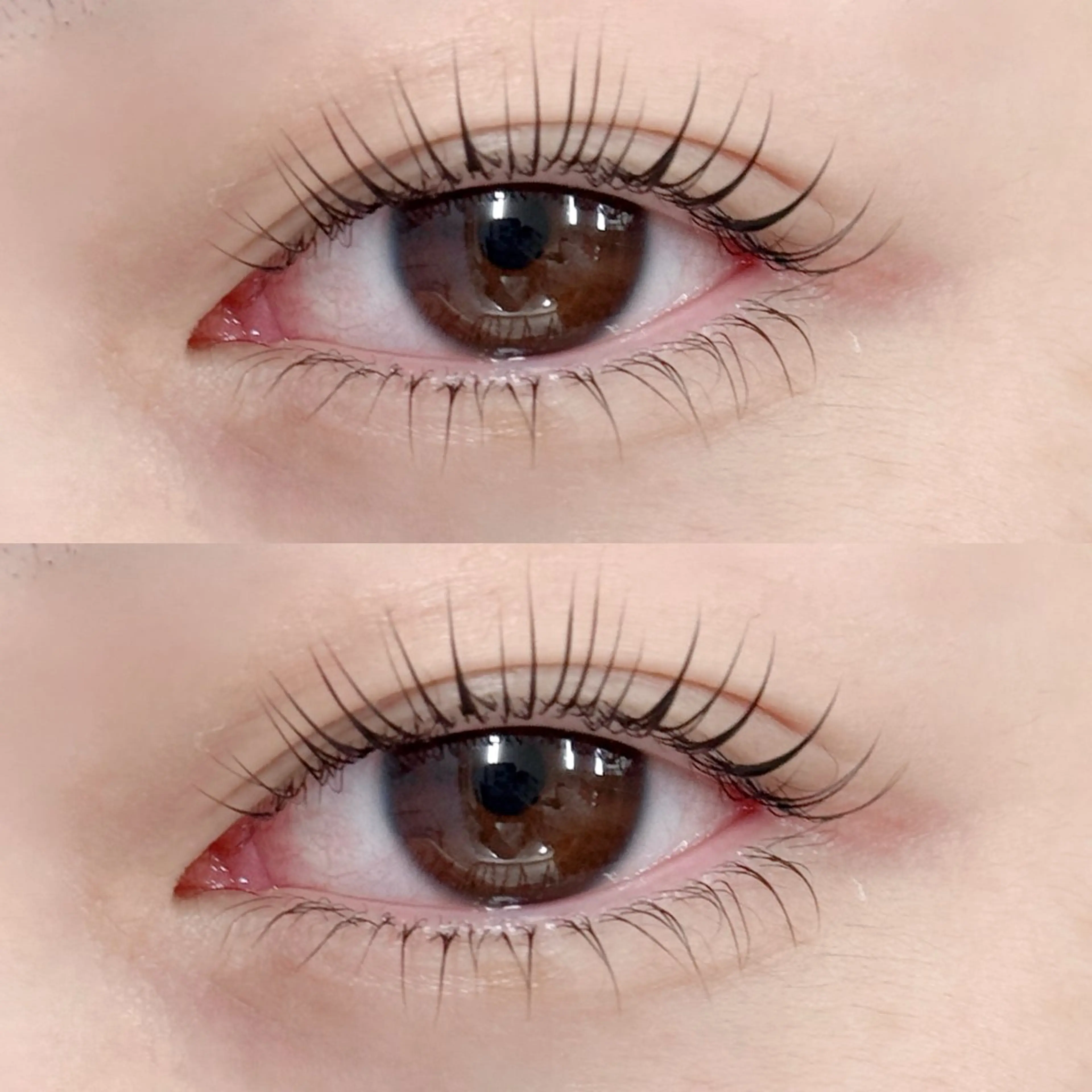 🫧ラッシュリフト上下🫧➕コーティング✨の写真