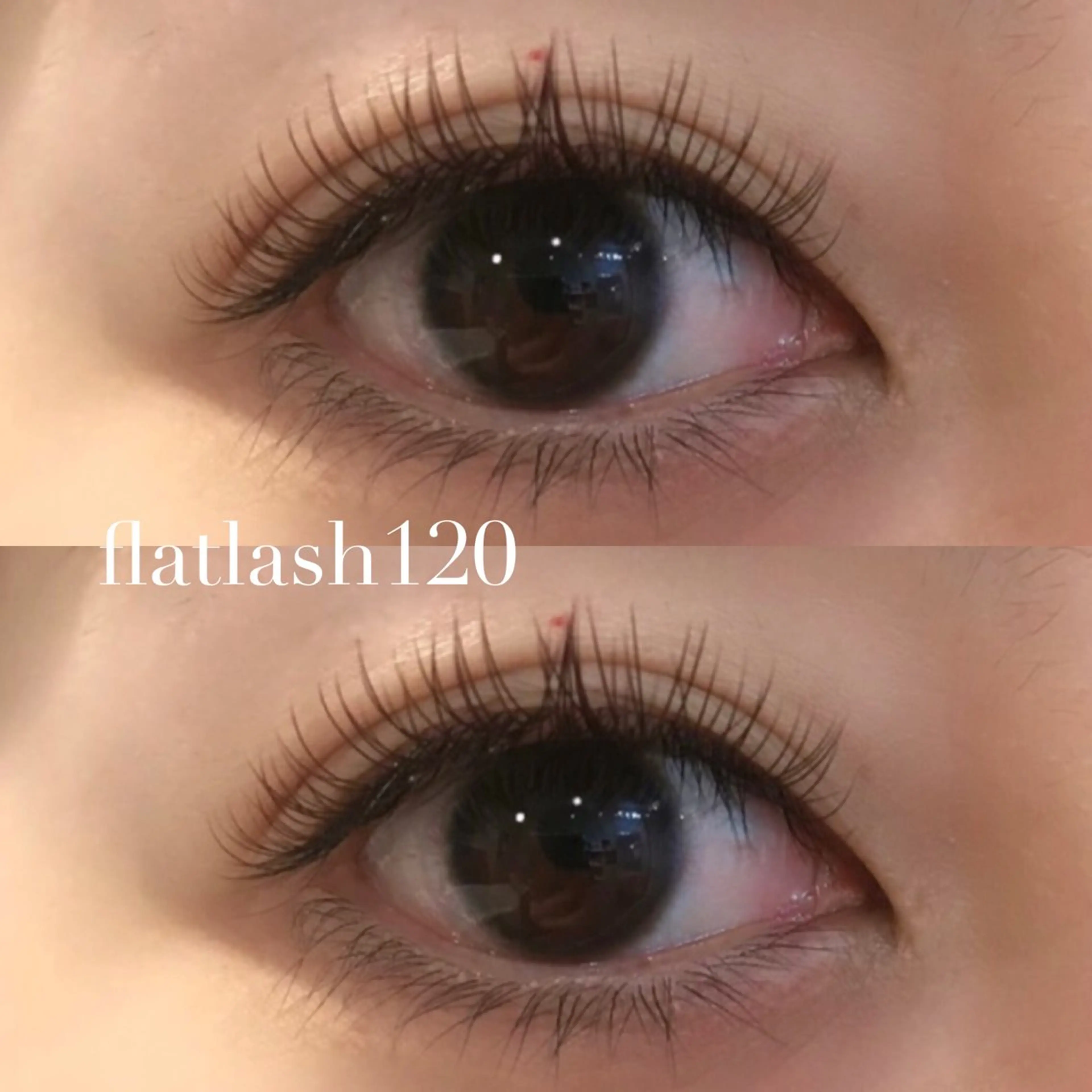 マツエク・マツパ カラーマツエク Dカール マツエク メイクアップサロン 【Aquarius】のマツエク・マツパデザイン