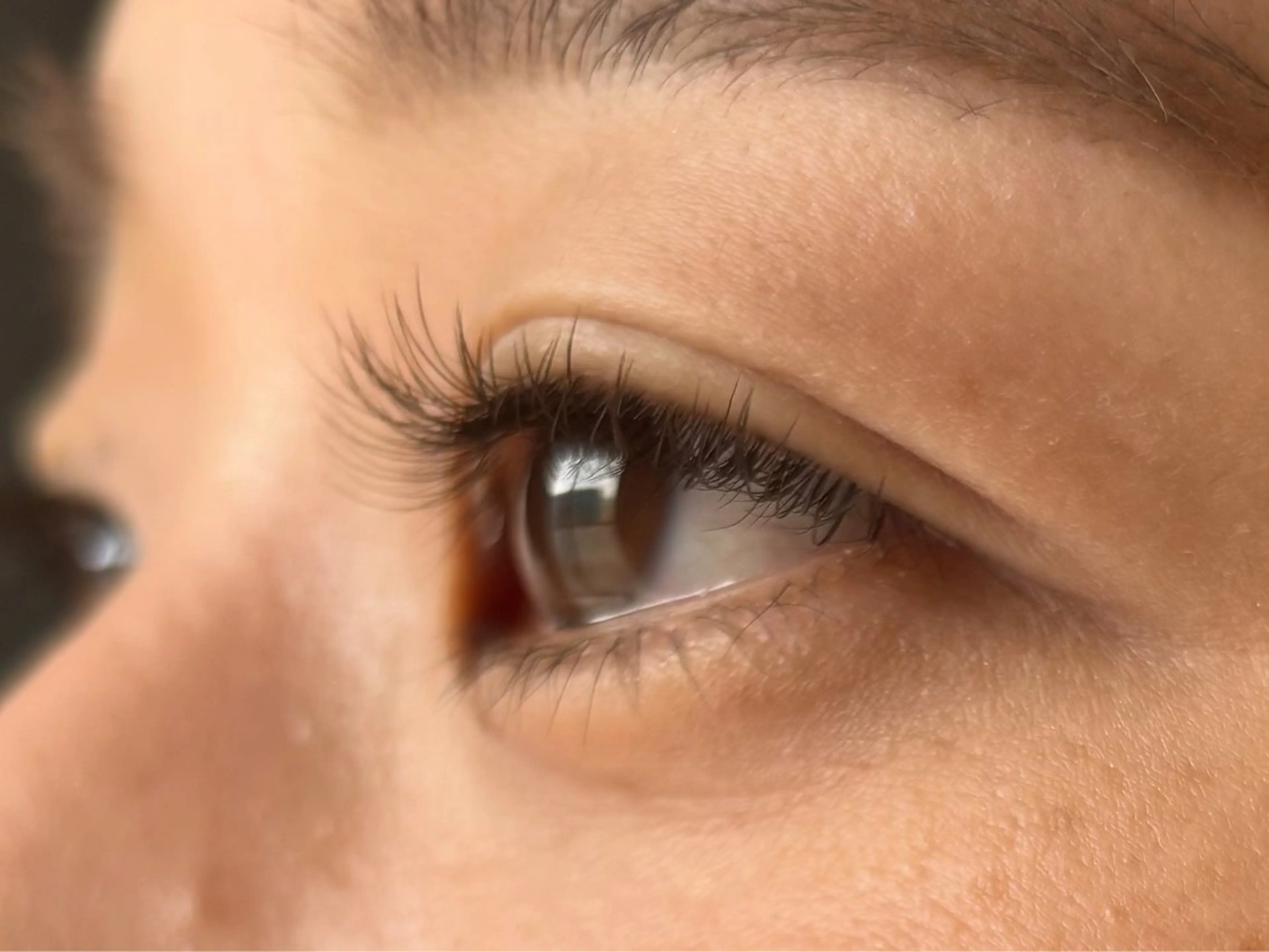 🌿LEDフラットラッシュ120本(アイシャンプー付き)オフなしの写真