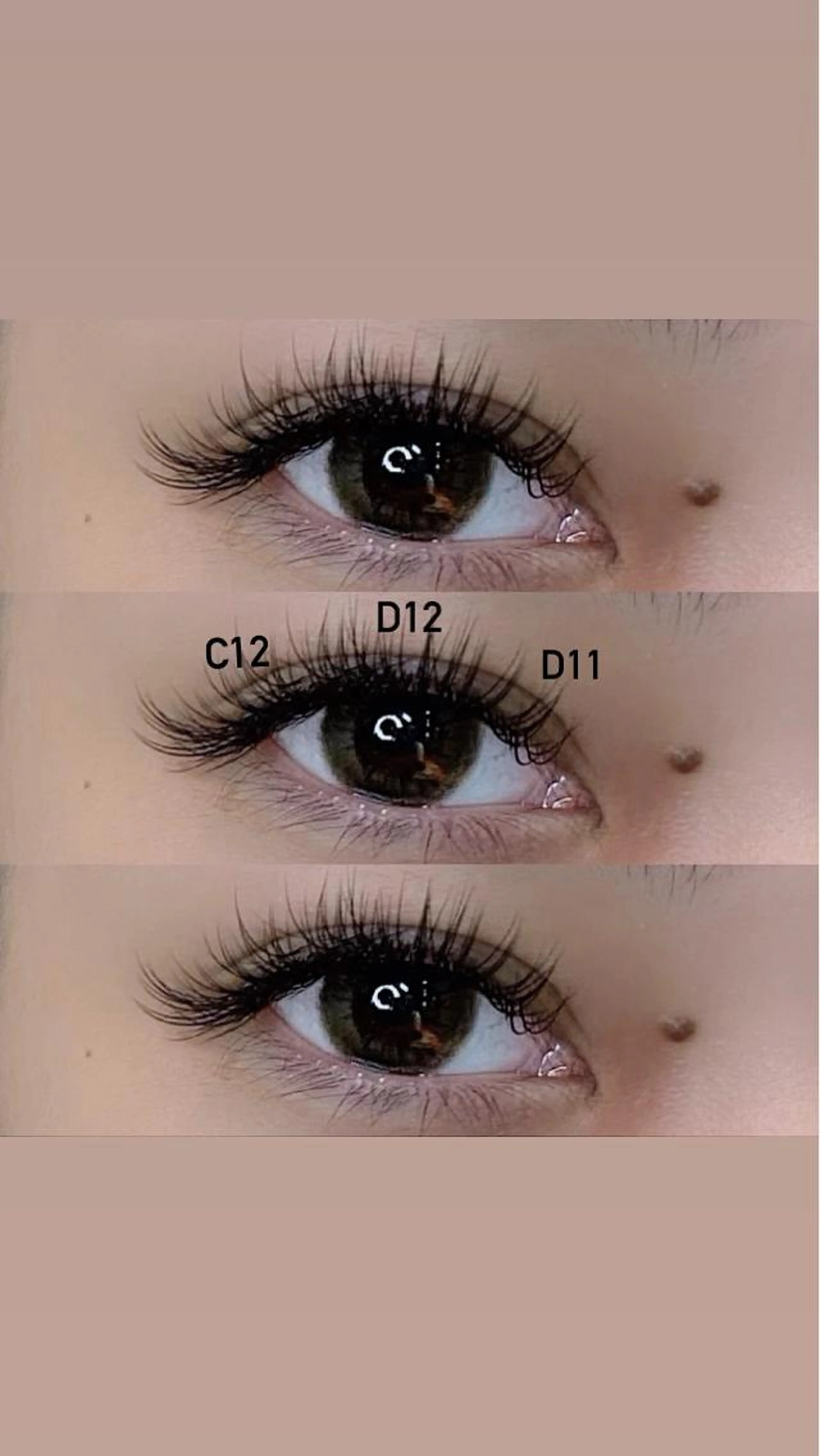 【 𝐒𝐈𝐍𝐆𝐋𝐄 𝐋𝐔𝐒𝐇 】ｾｰﾌﾞﾙ つけ放題!! 🌙コーティング付🌙の写真