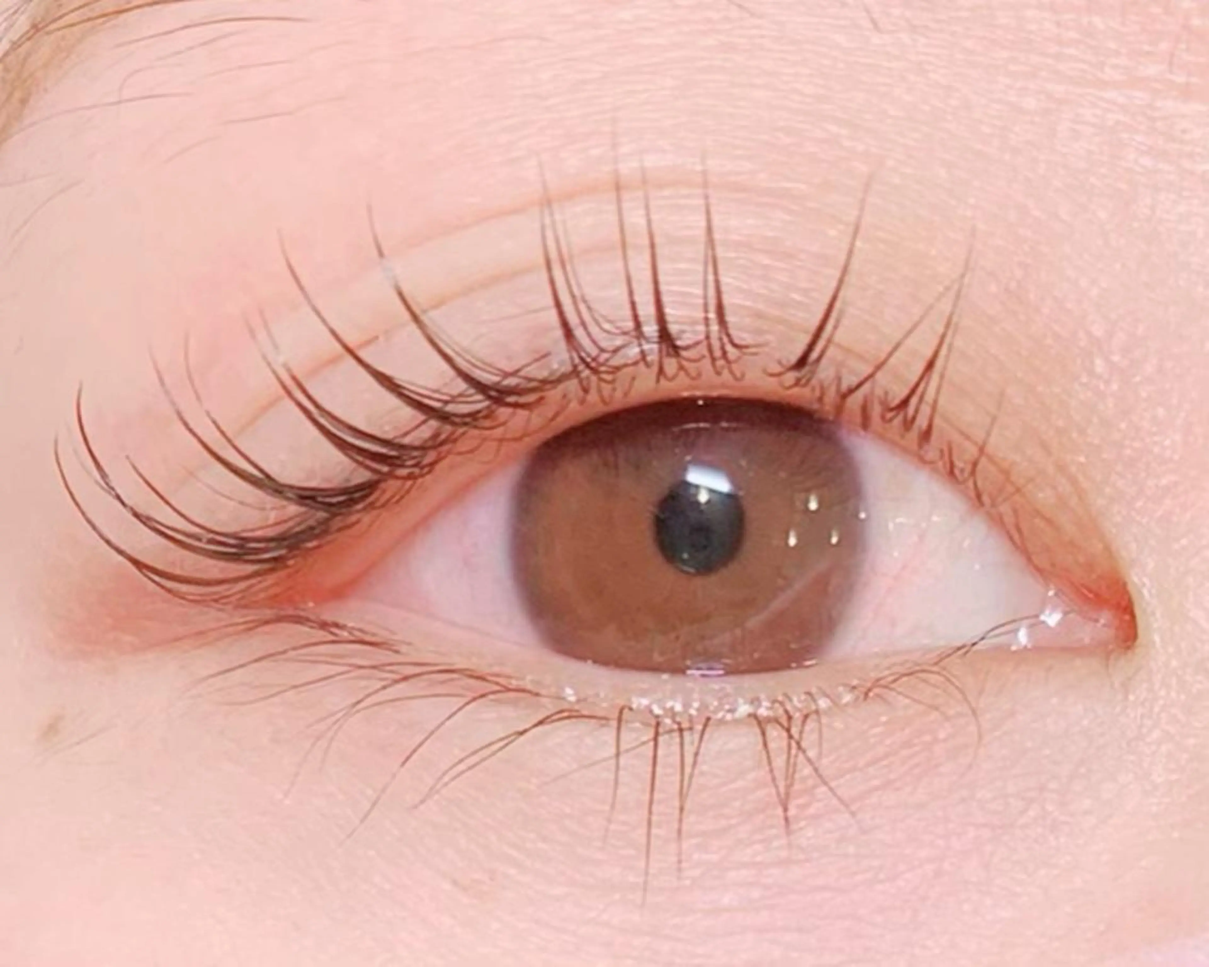 マツエク・マツパ マツパ Rocco eye 新宿御苑【ロッコアイ】フラットラッシュ/ボリュームラッシュ/アップワード所属・佐々木 範子のマツエク・マツパデザイン