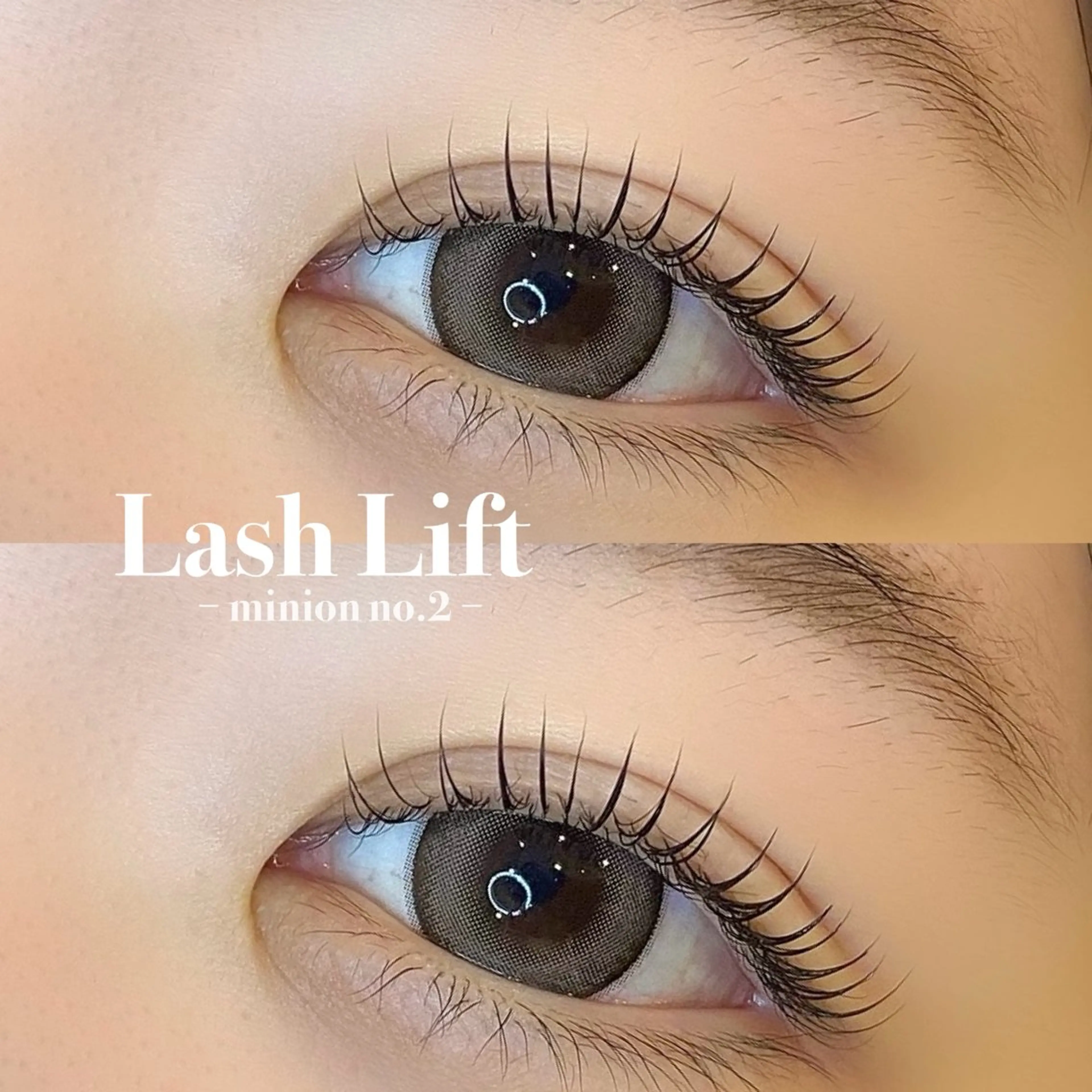 【学生割U24クーポン✨】　まつ毛パーマ上(❤︎大人気の︎ﾄﾘｰﾄﾒﾝﾄ仕上げ付き) ¥5250→¥3500の写真