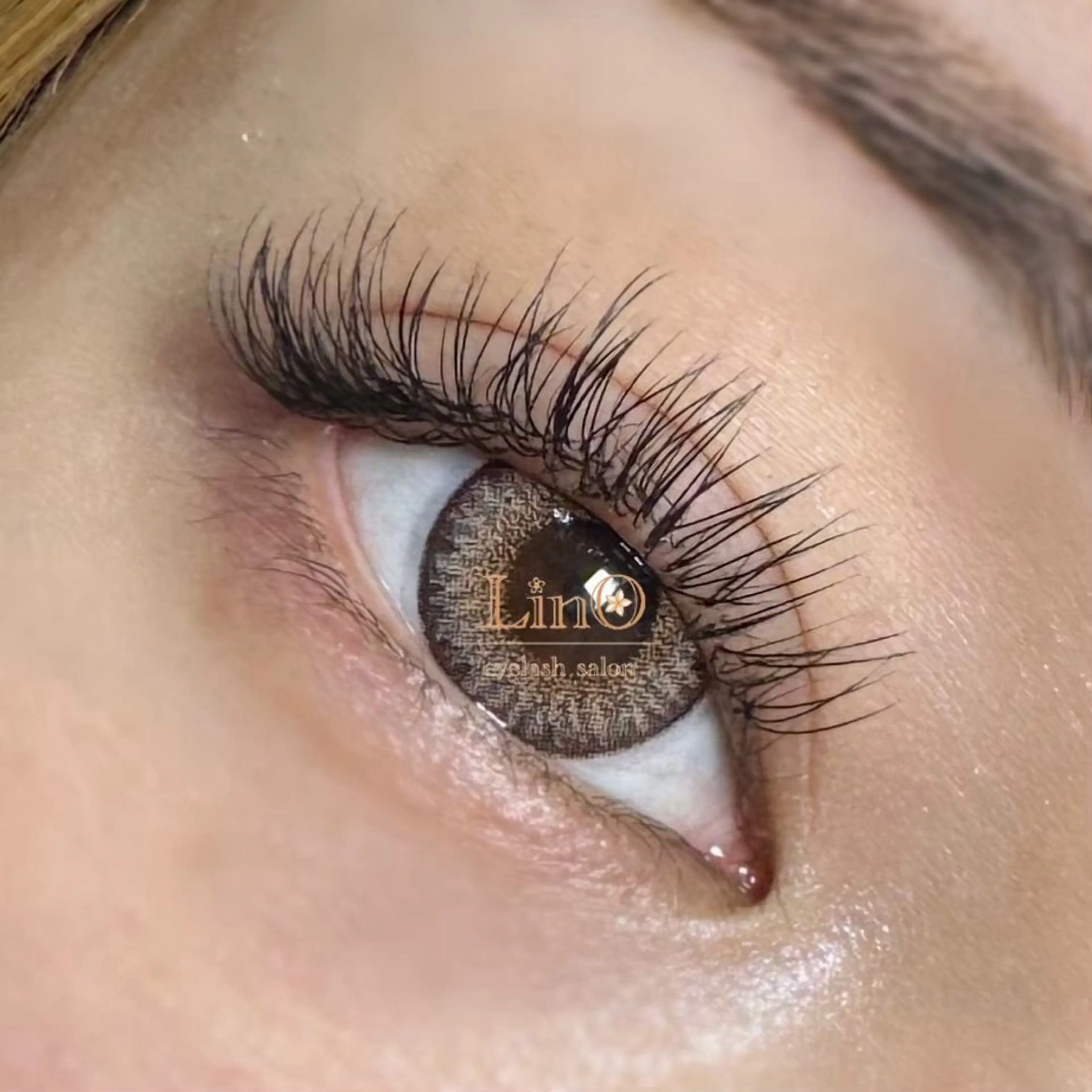 マツエク・マツパ フラットラッシュ マツエク eyelash salon Lino所属・【Lino】 スタッフのマツエク・マツパデザイン