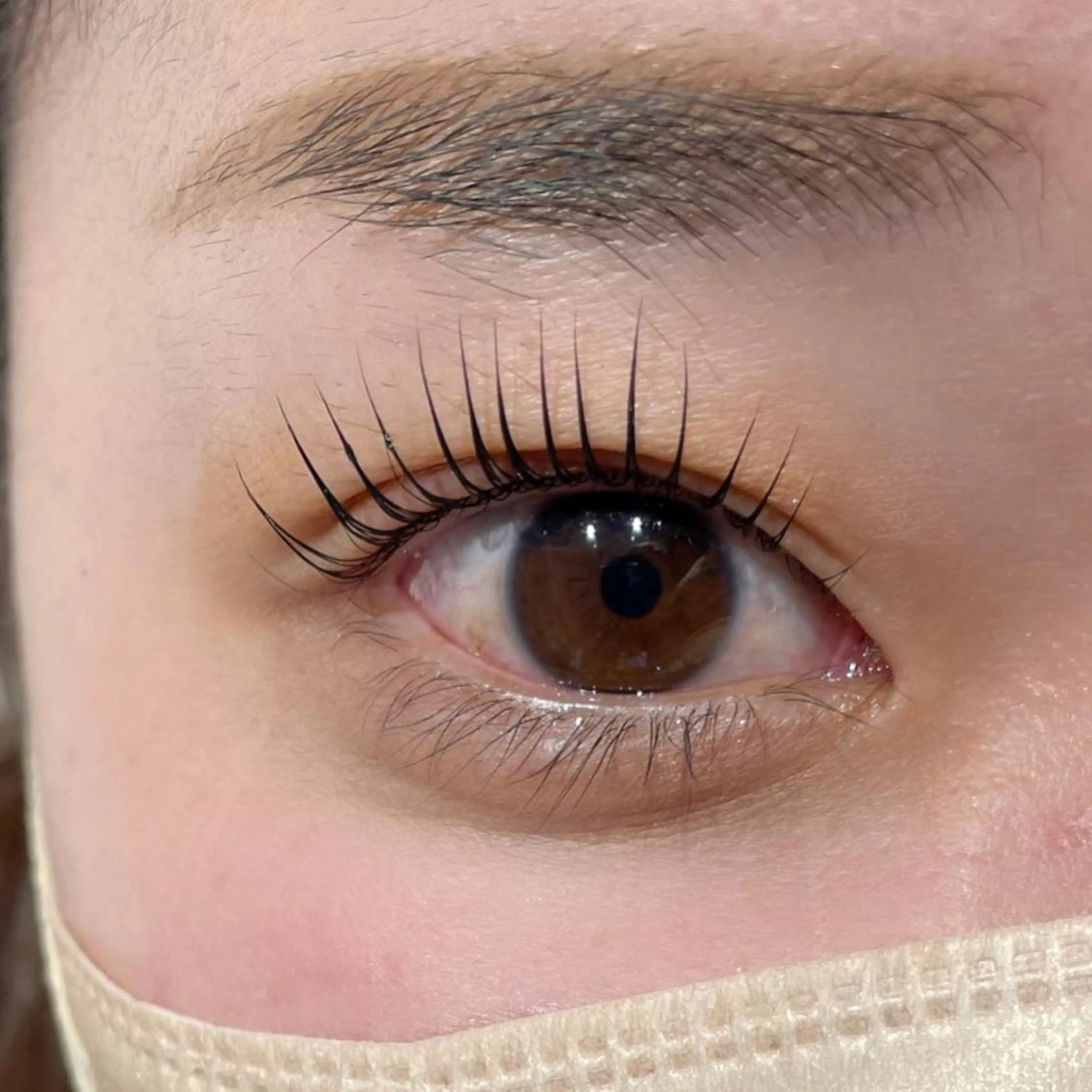 自まつ毛黒々★マスカラパーマ！選べるカール(カール・立ち上げ・ナチュラル)アイシャンプー＋コーティング付の写真