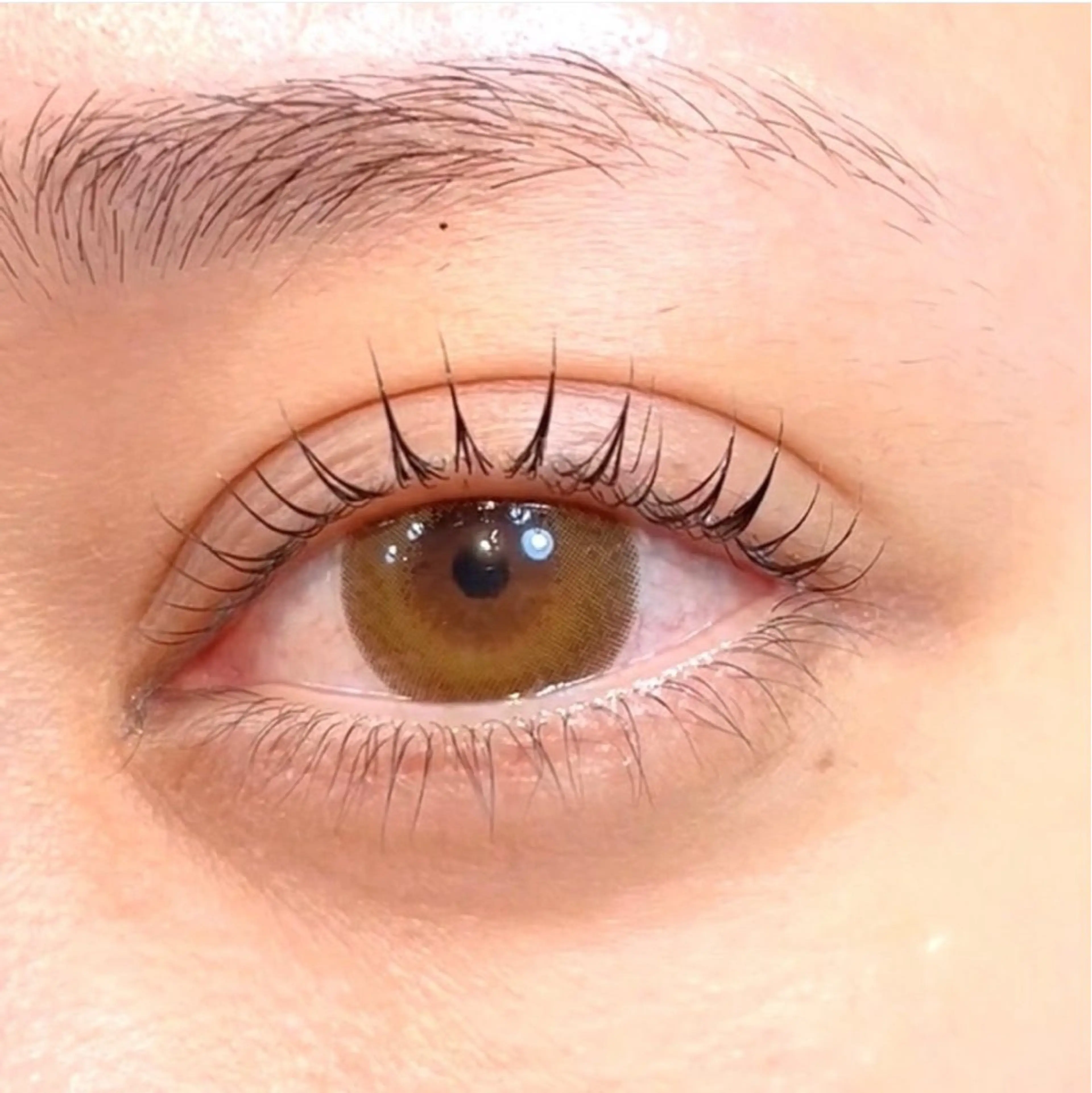 マツエク・マツパ 宮橋 芹心のマツエク・マツパデザイン