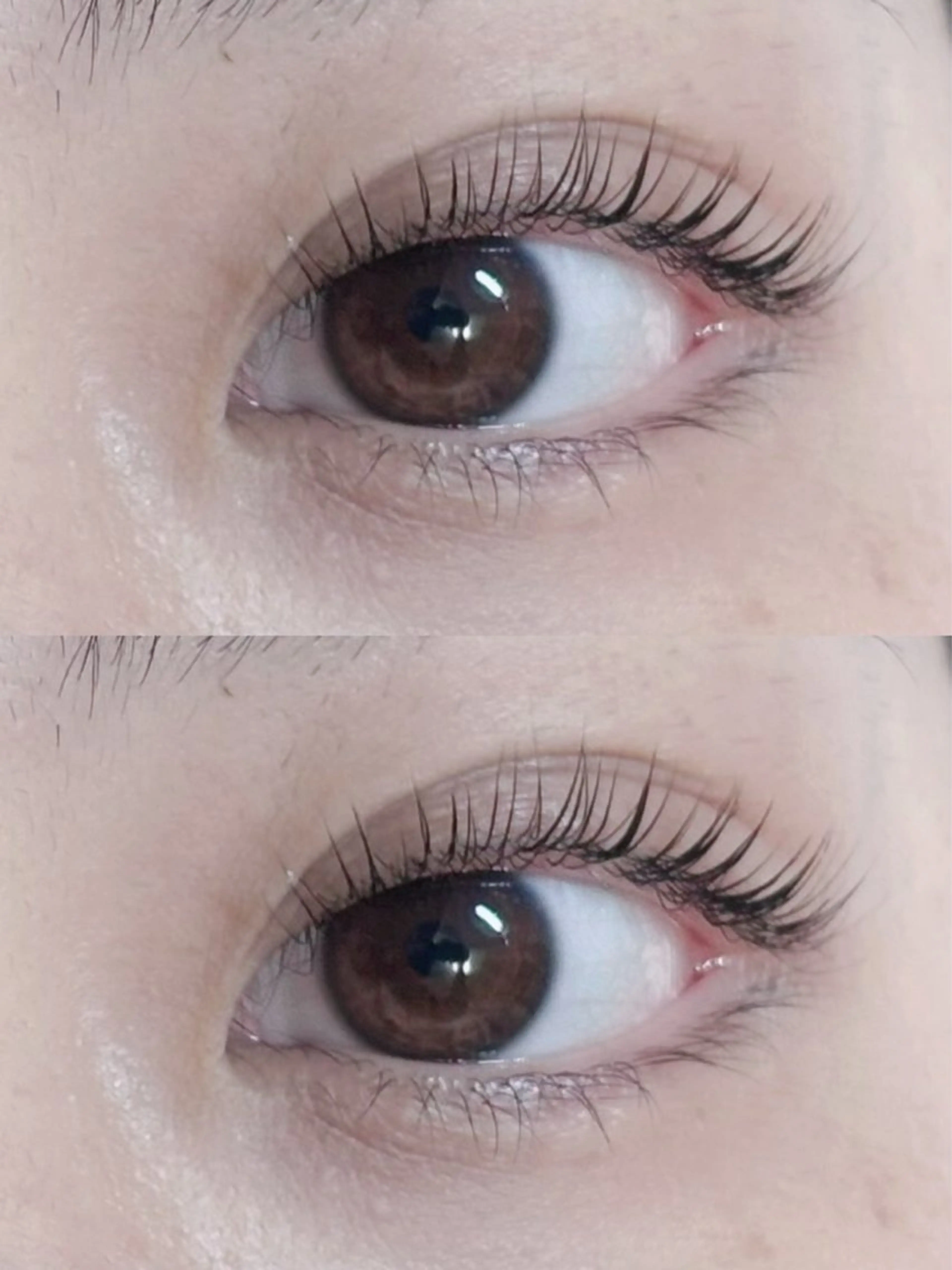 マツエク・マツパ まつげパーマ専門店 FOIのマツエク・マツパデザイン