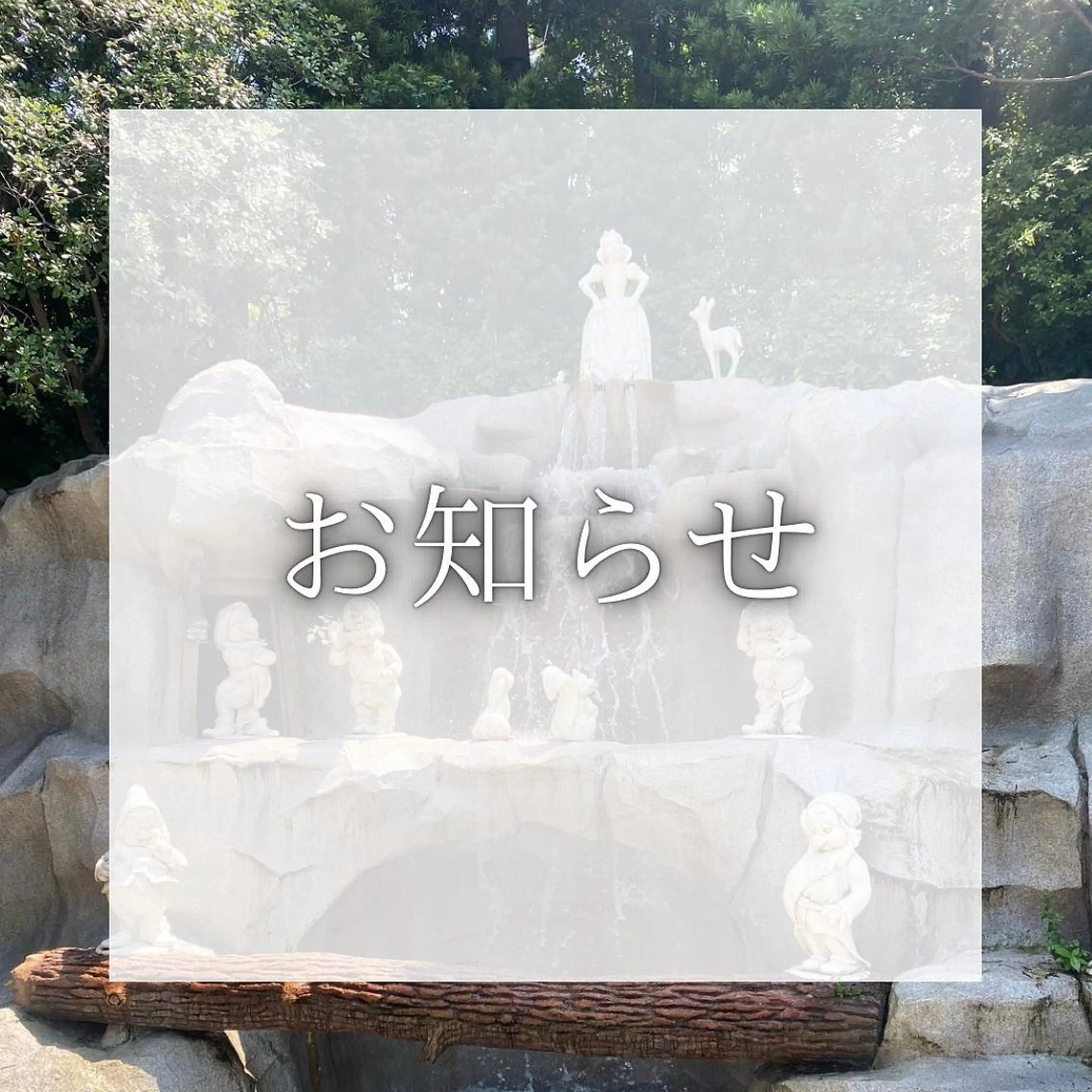 マツエク・マツパ パリジェンヌラッシュリフト まつげパーマ KURUMI🦋 まつエクまつパ美眉のマツエク・マツパデザイン