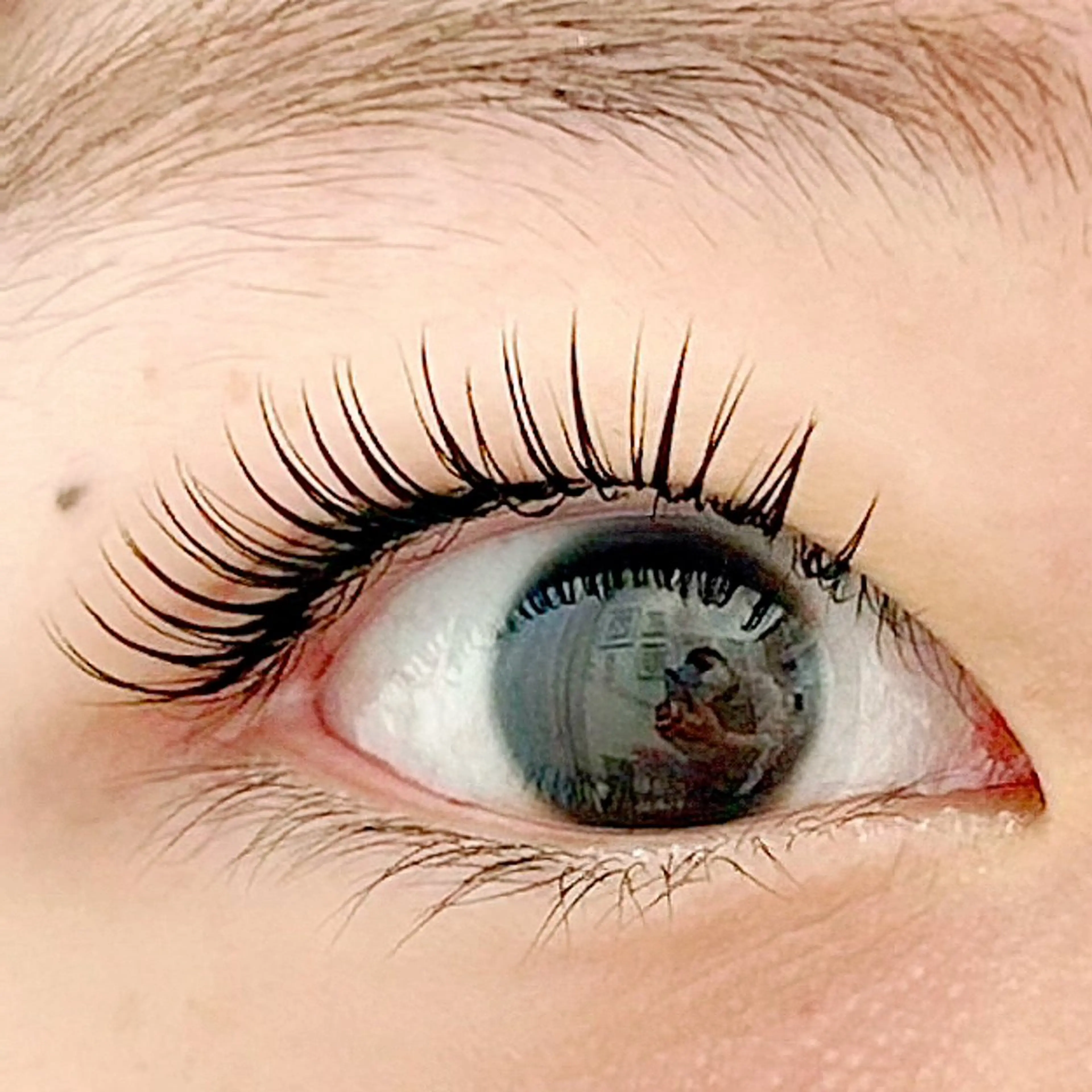 マツエク・マツパ 一重×まつ毛パーマ BellFlower Aki（眉・まつげ）のマツエク・マツパデザイン