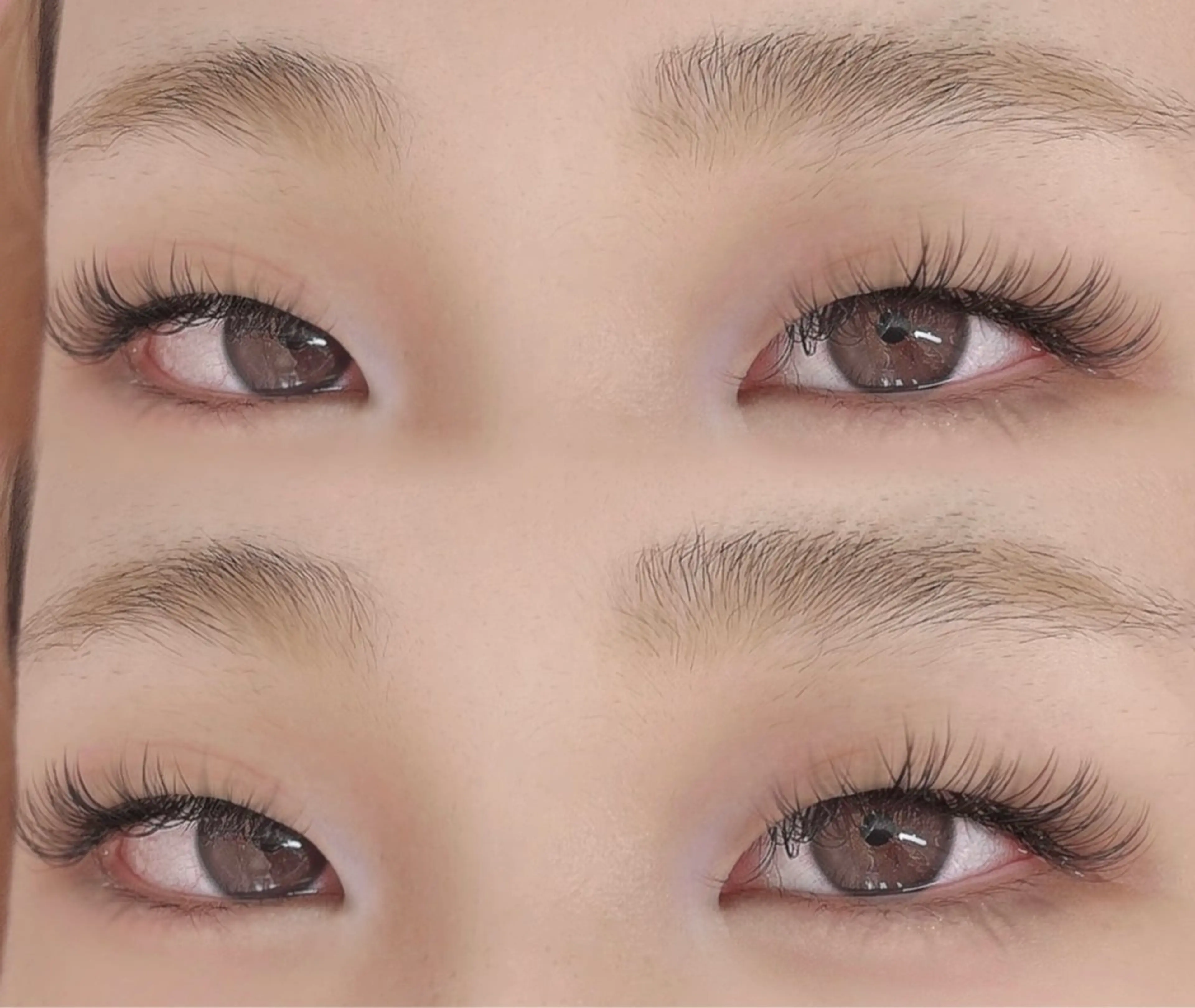 ﾏﾂｴｸ　ﾊﾞｲﾝﾄﾞﾛｯｸ60束🎀の写真