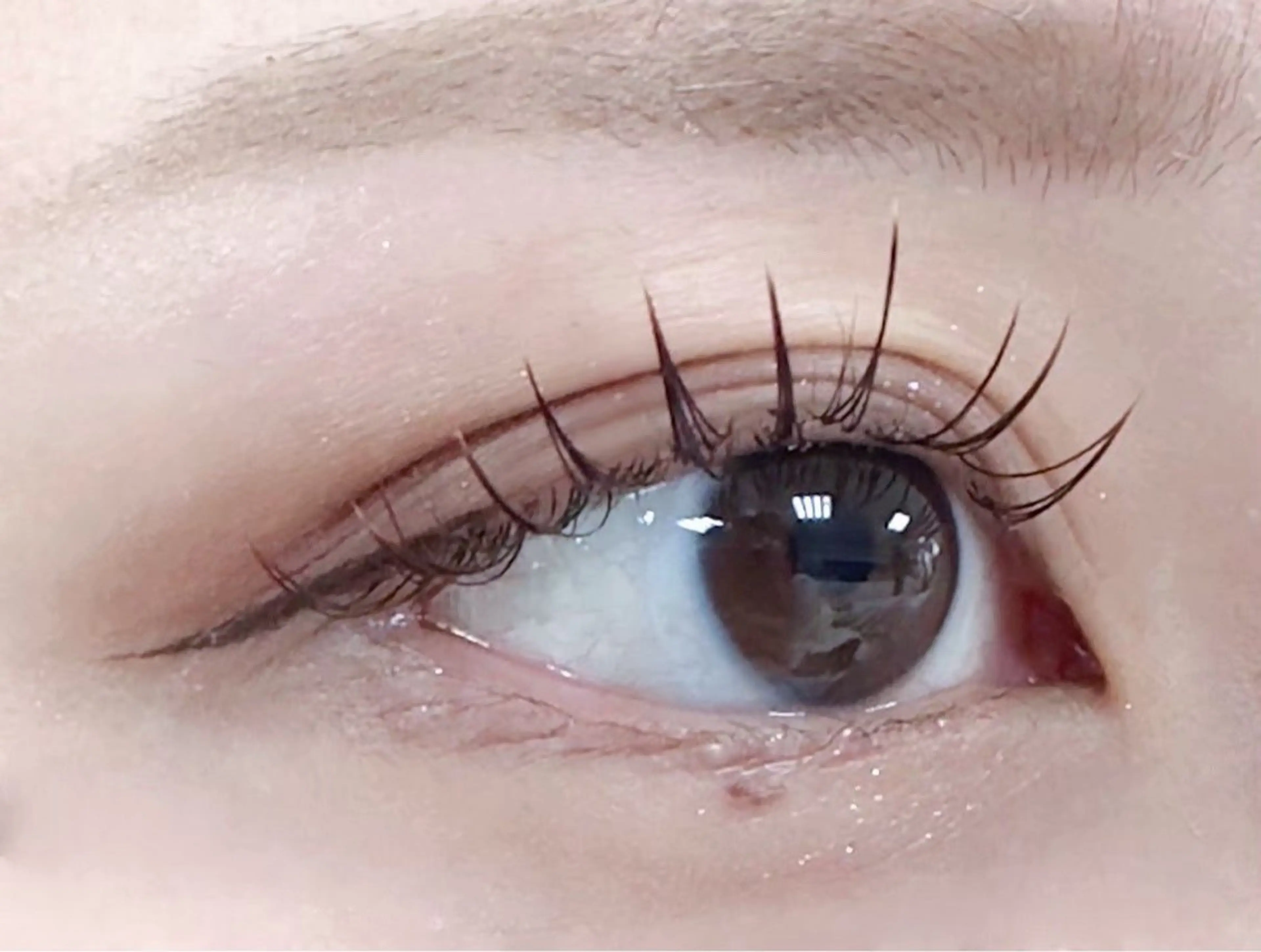 🩷メイク時間を短く🩷束感フラットラッシュ100本+美眉アイブロウの写真