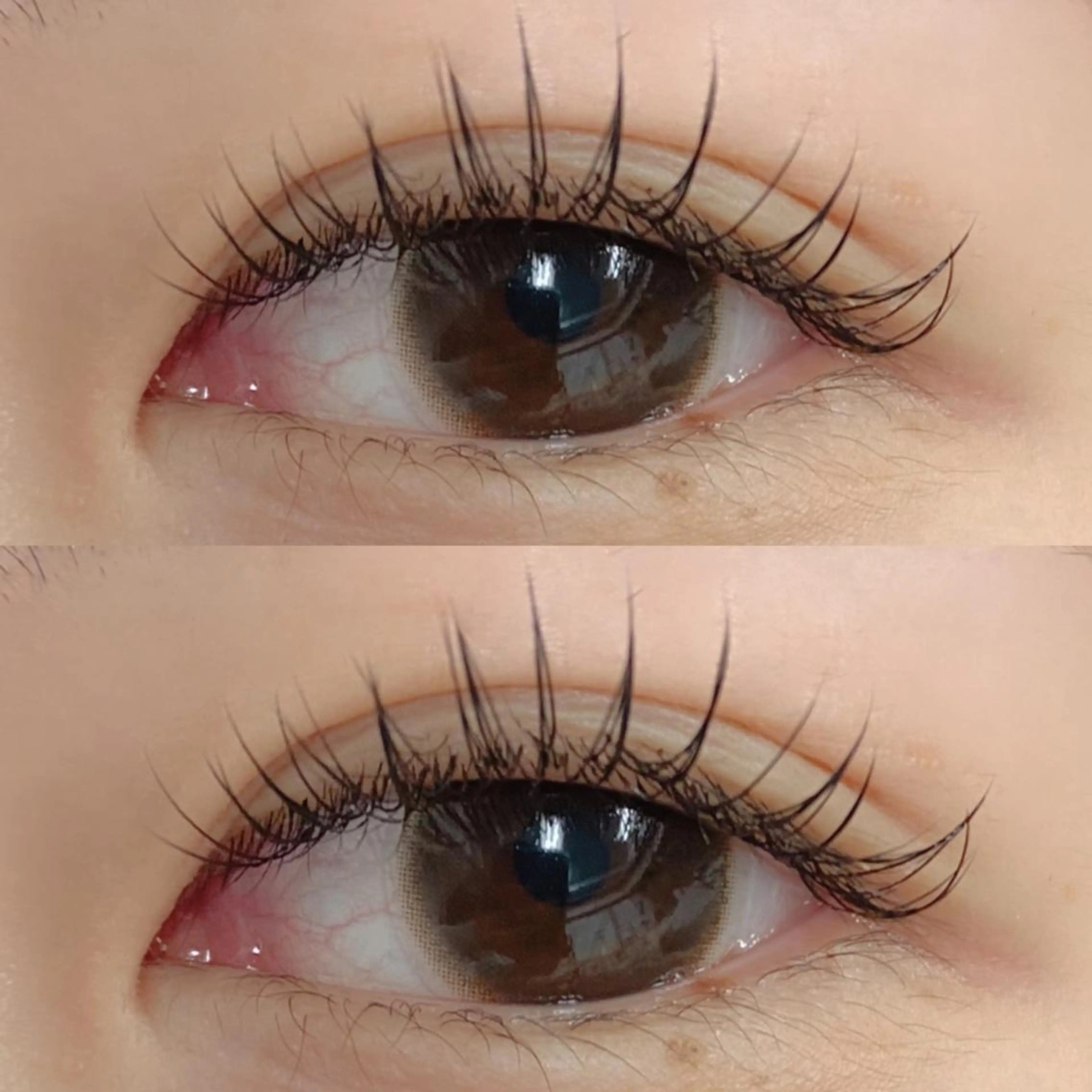 【漫画デザイン★ワンホン風束感】コーティング剤付き💝フラットラッシュ120本　横浜関内の写真