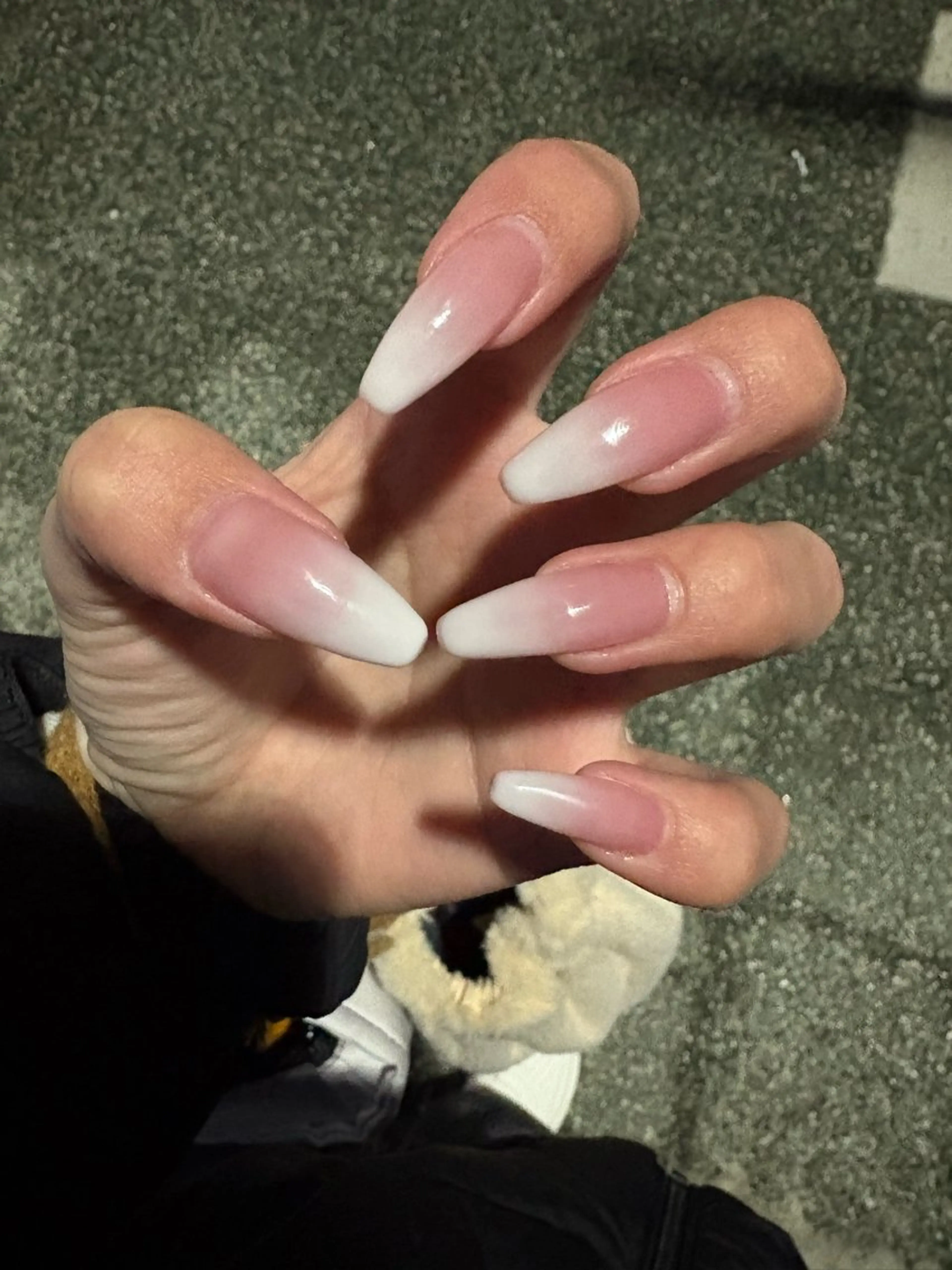 ベイビーブーマー(オフ込み)の写真