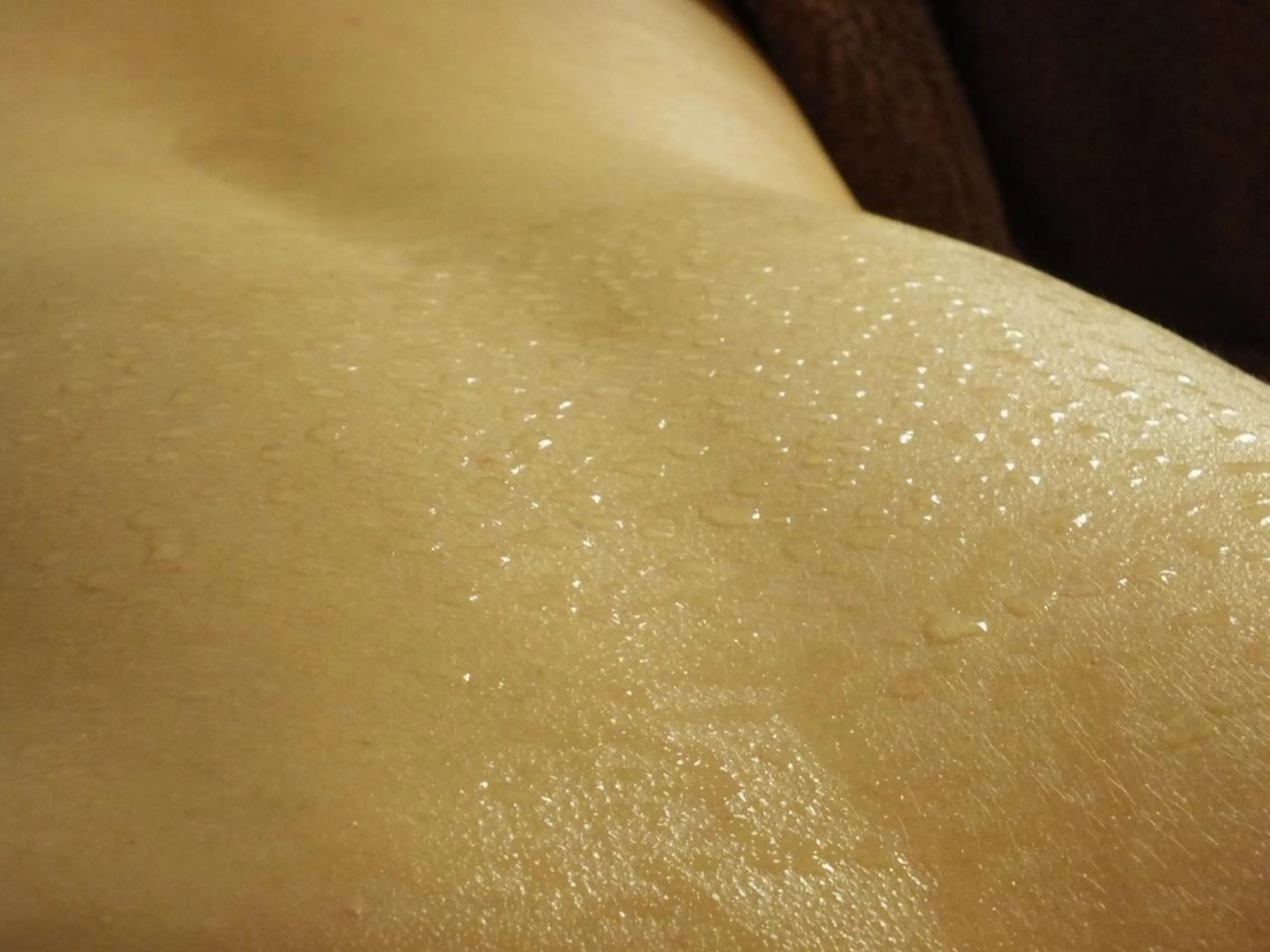 遠赤外線ドーム 50分の写真