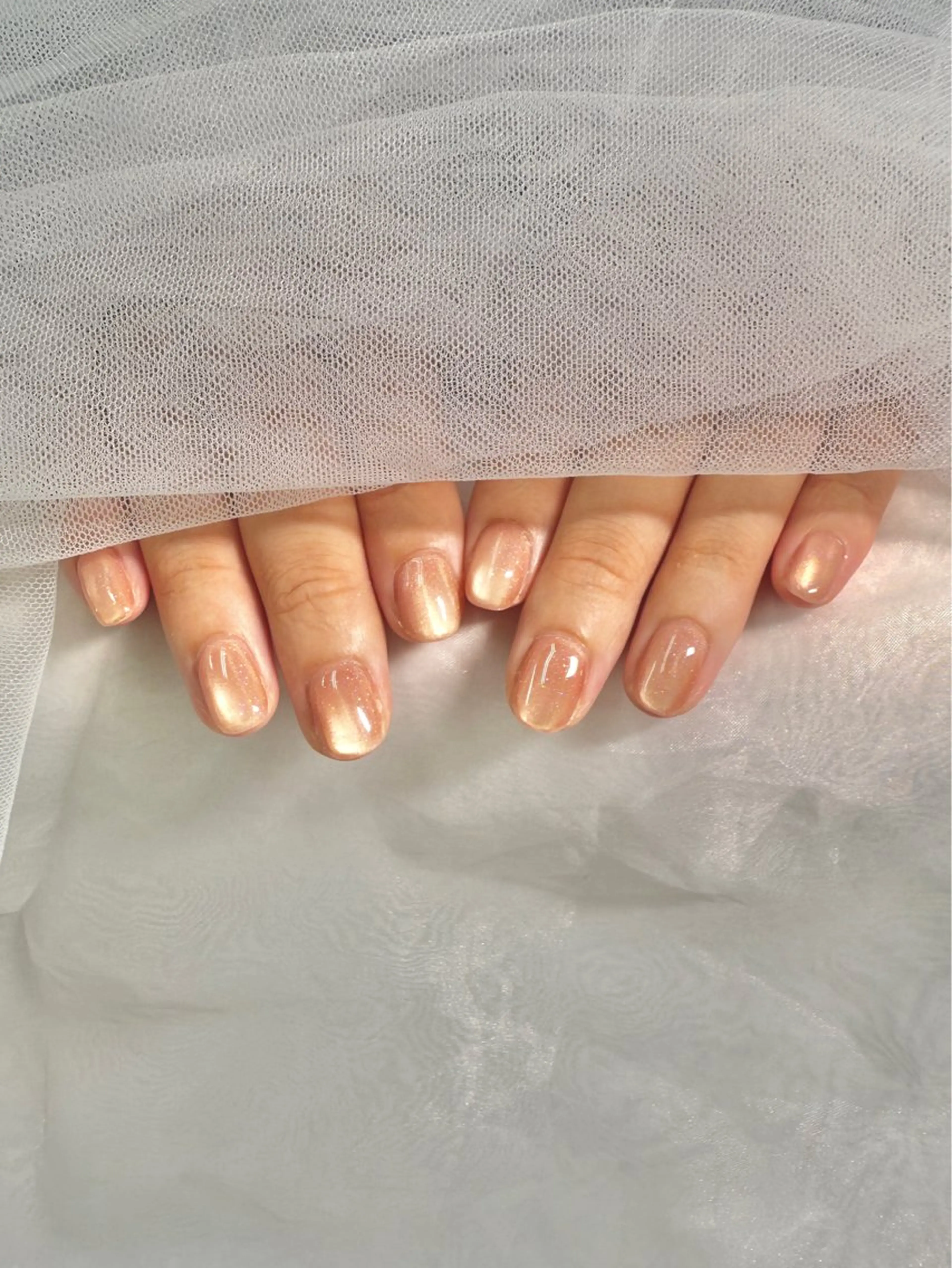 ネイル マグネットネイル マグネットワンカラー ワンカラーネイル nail  LATTE所属・nail Latteのネイルデザイン