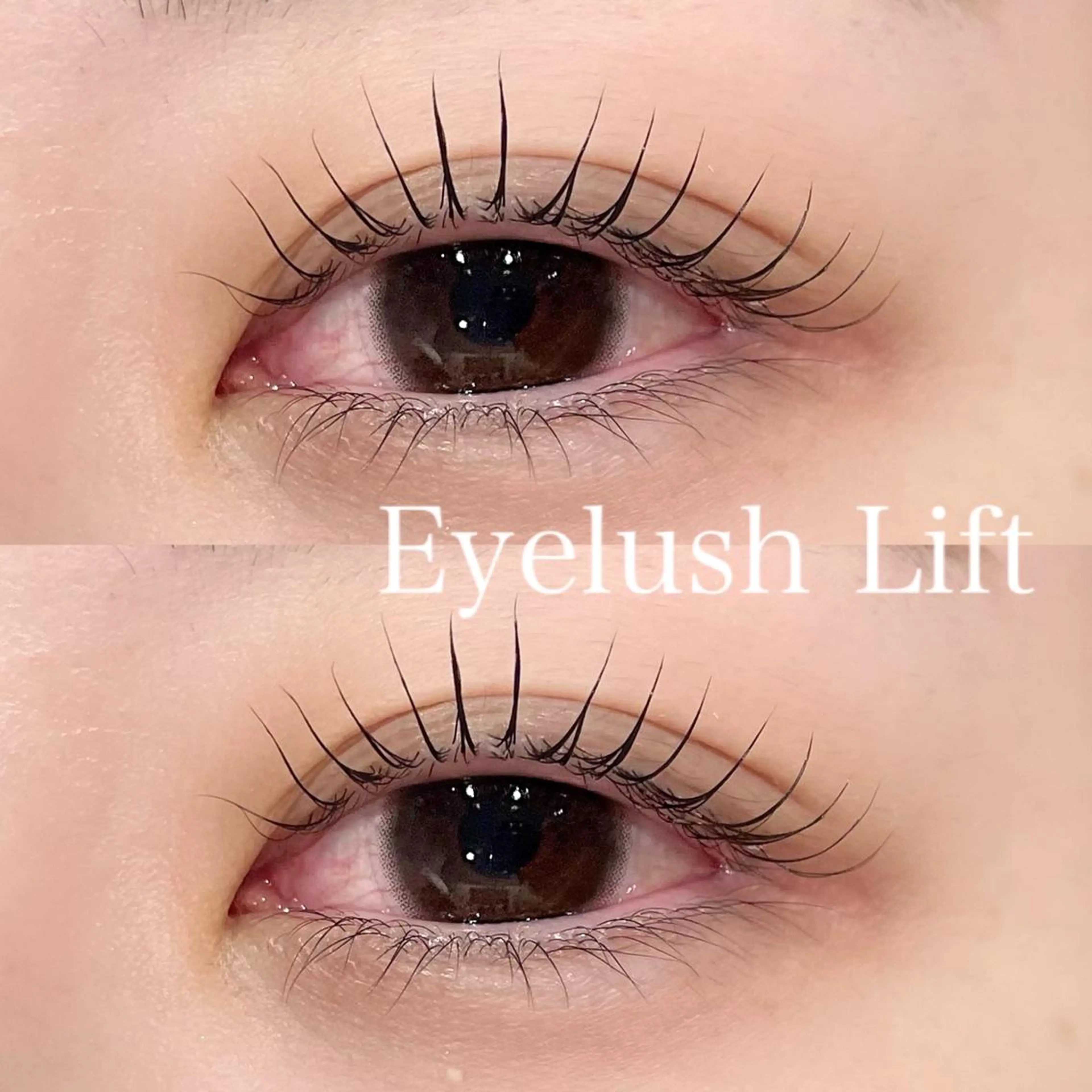 マツエク・マツパ ヘアアレンジ🪽🎀 艶カラー/天王寺のヘアスタイル