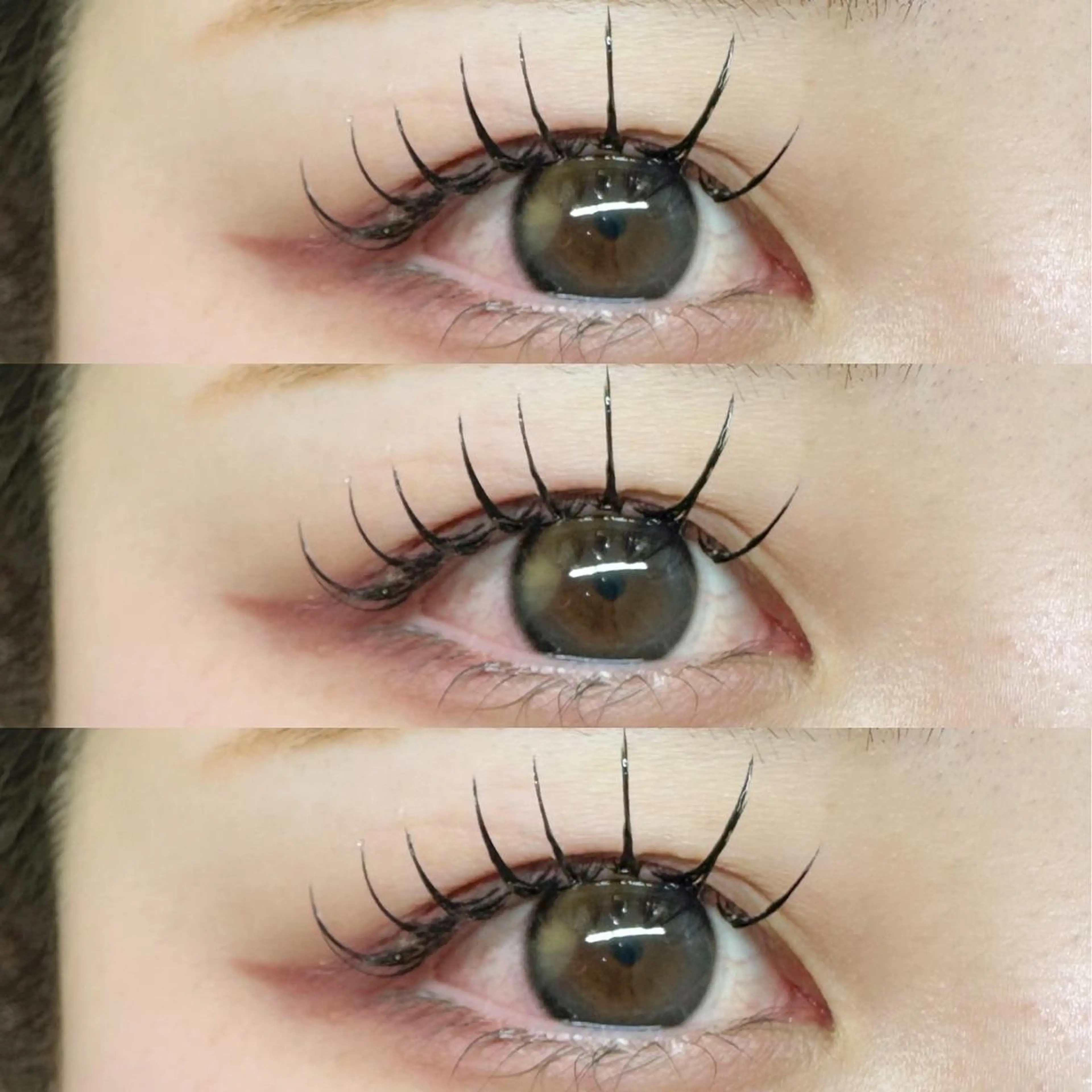 マツエク・マツパ マツエク Baby step.のマツエク・マツパデザイン