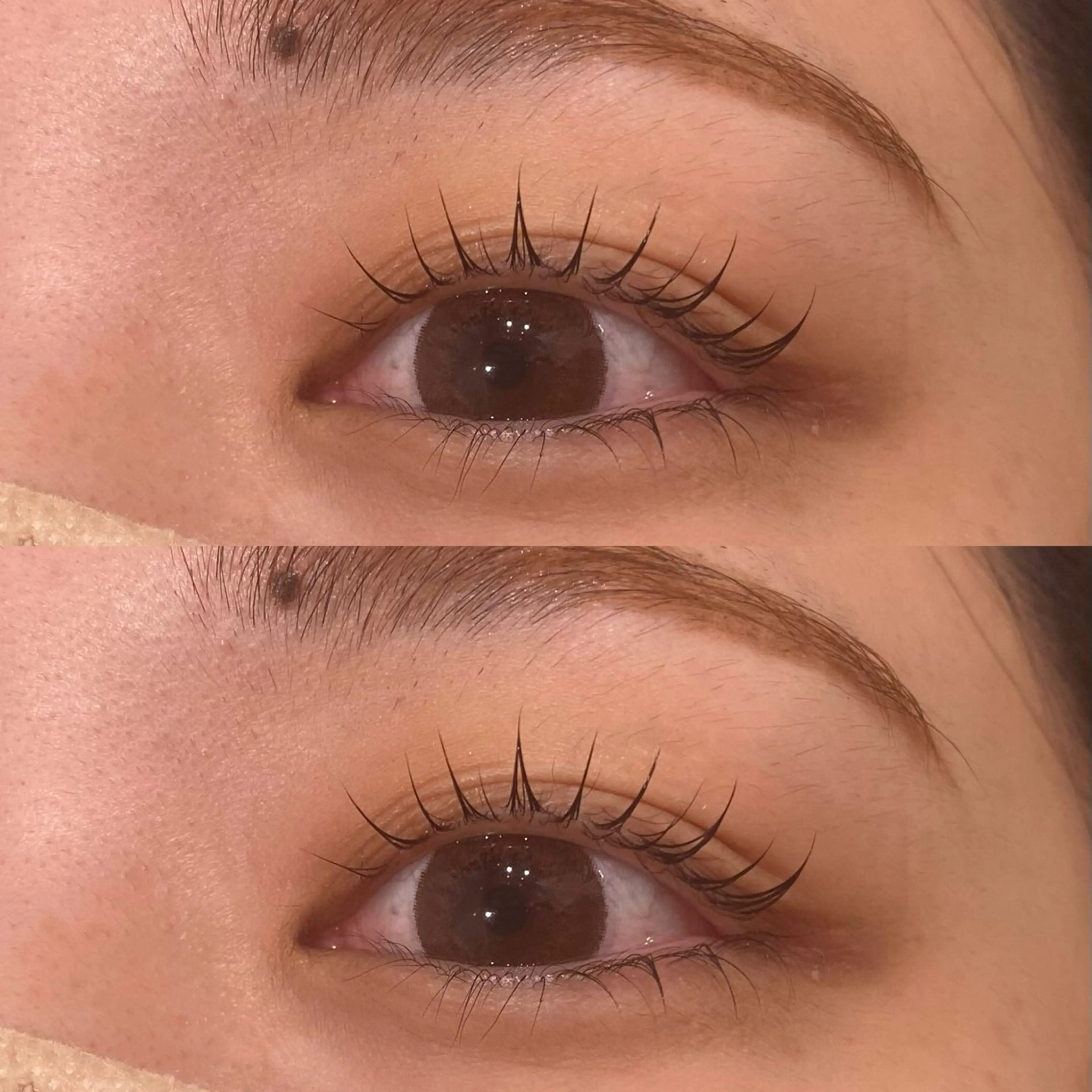 💟束感仕上げまつげパーマ💟（上）＋キープ美容液（アイシャンプー付き🫧）の写真