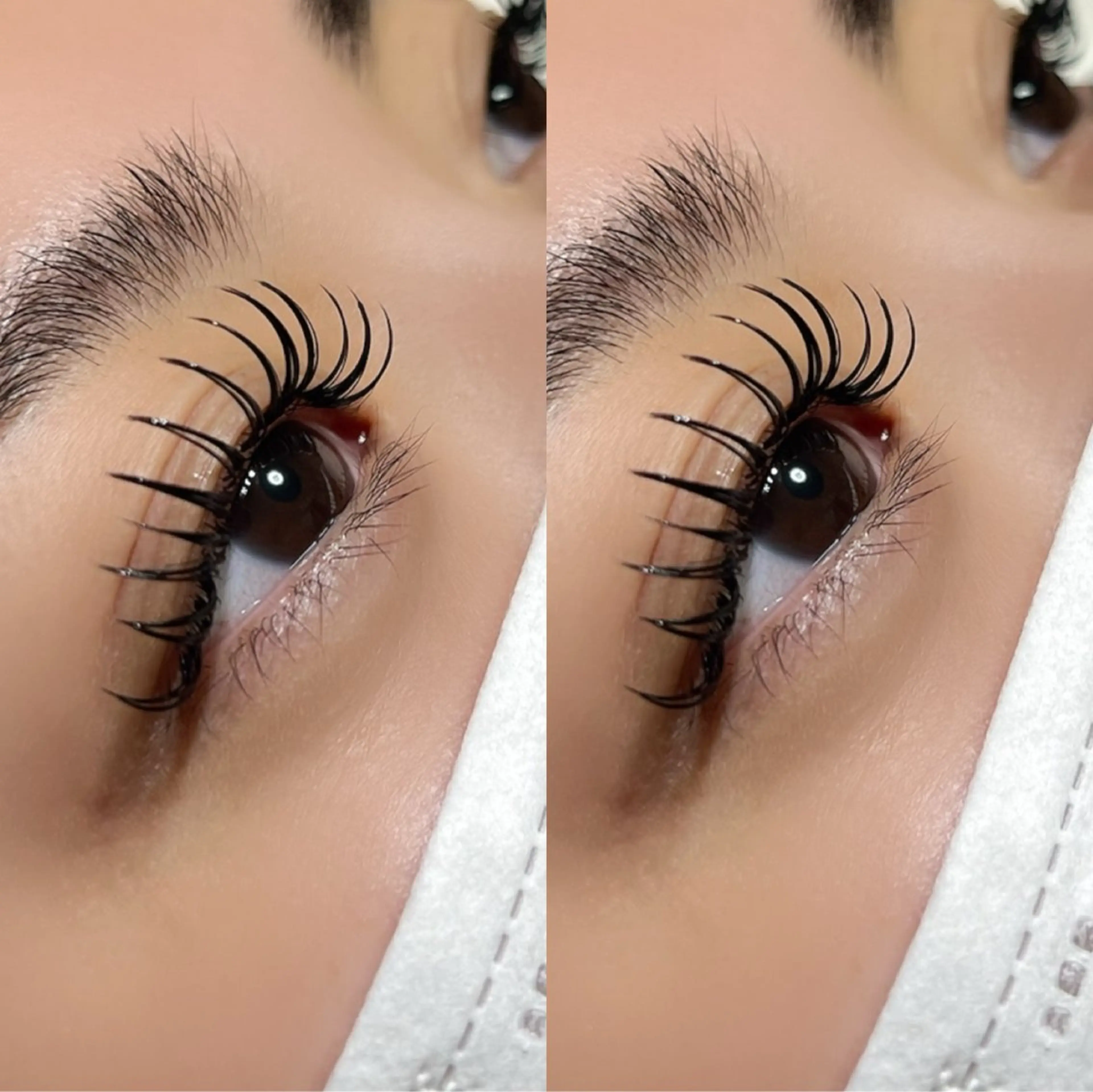 12月限定🎄♥️&healthy(ｱﾝﾄﾞﾍﾙｼｰ)➕バインドロック80束の写真