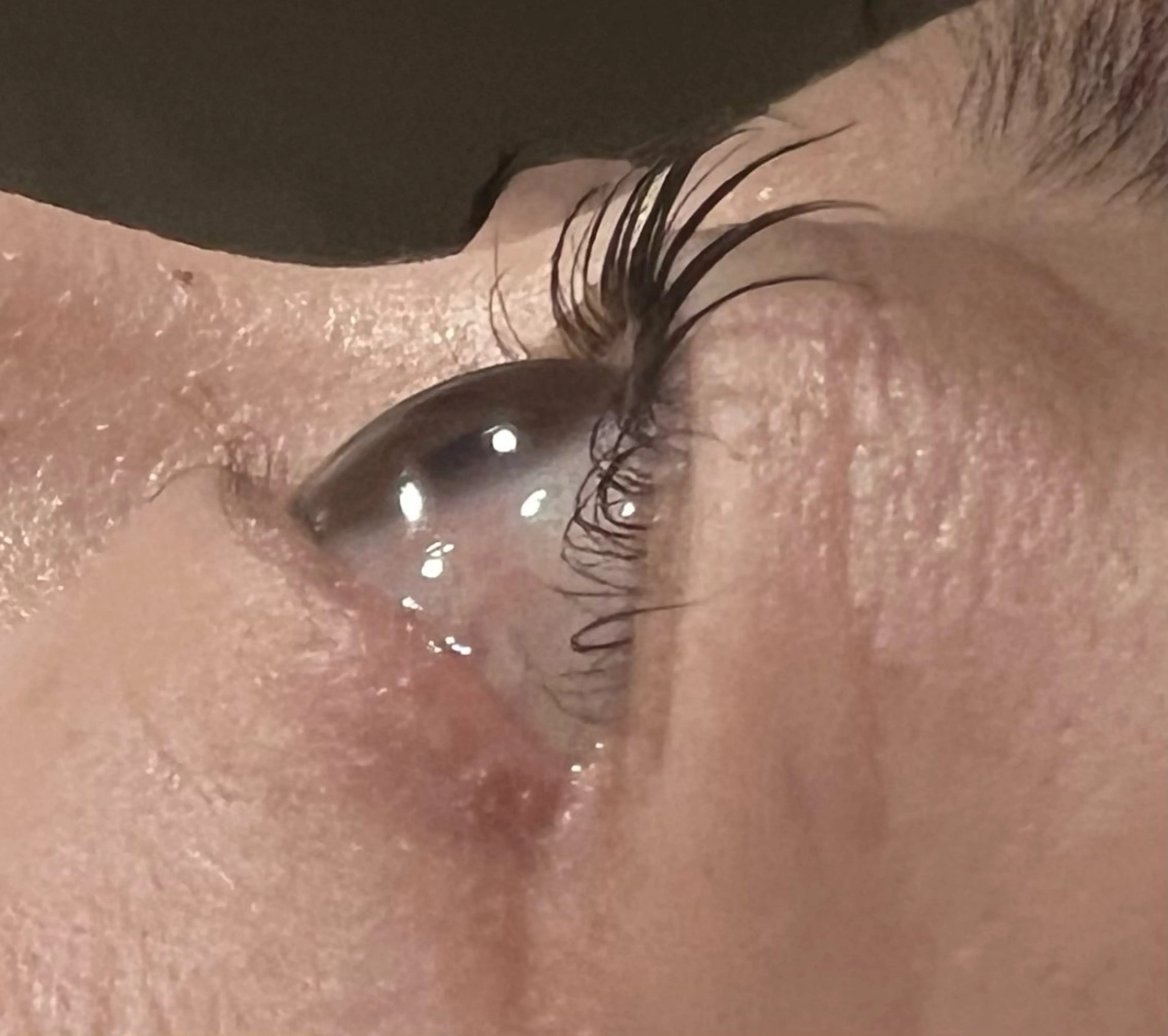 ラッシュリフトまつげパーマ上下のレッスンモデルの写真