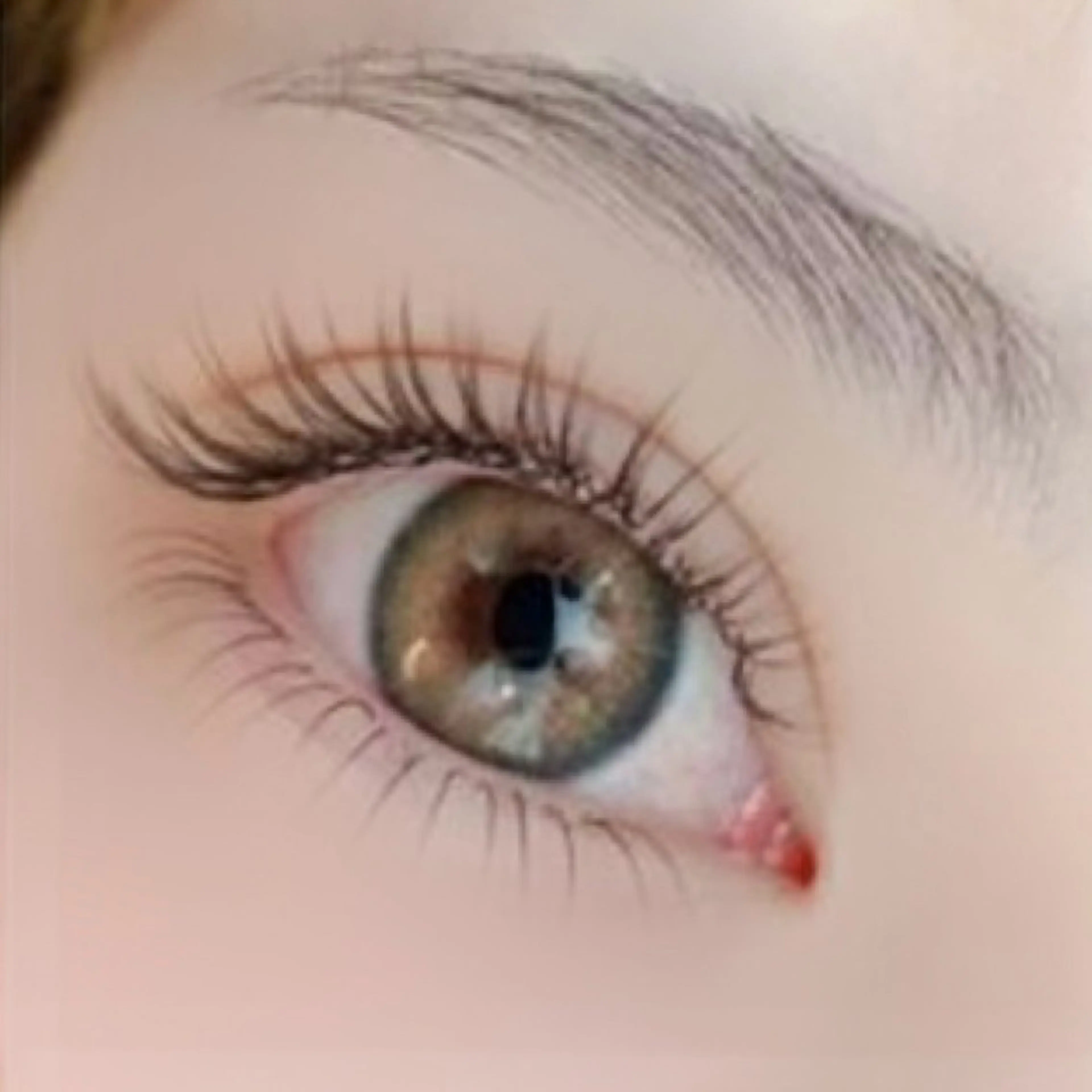 【フラットラッシュ100本】の写真