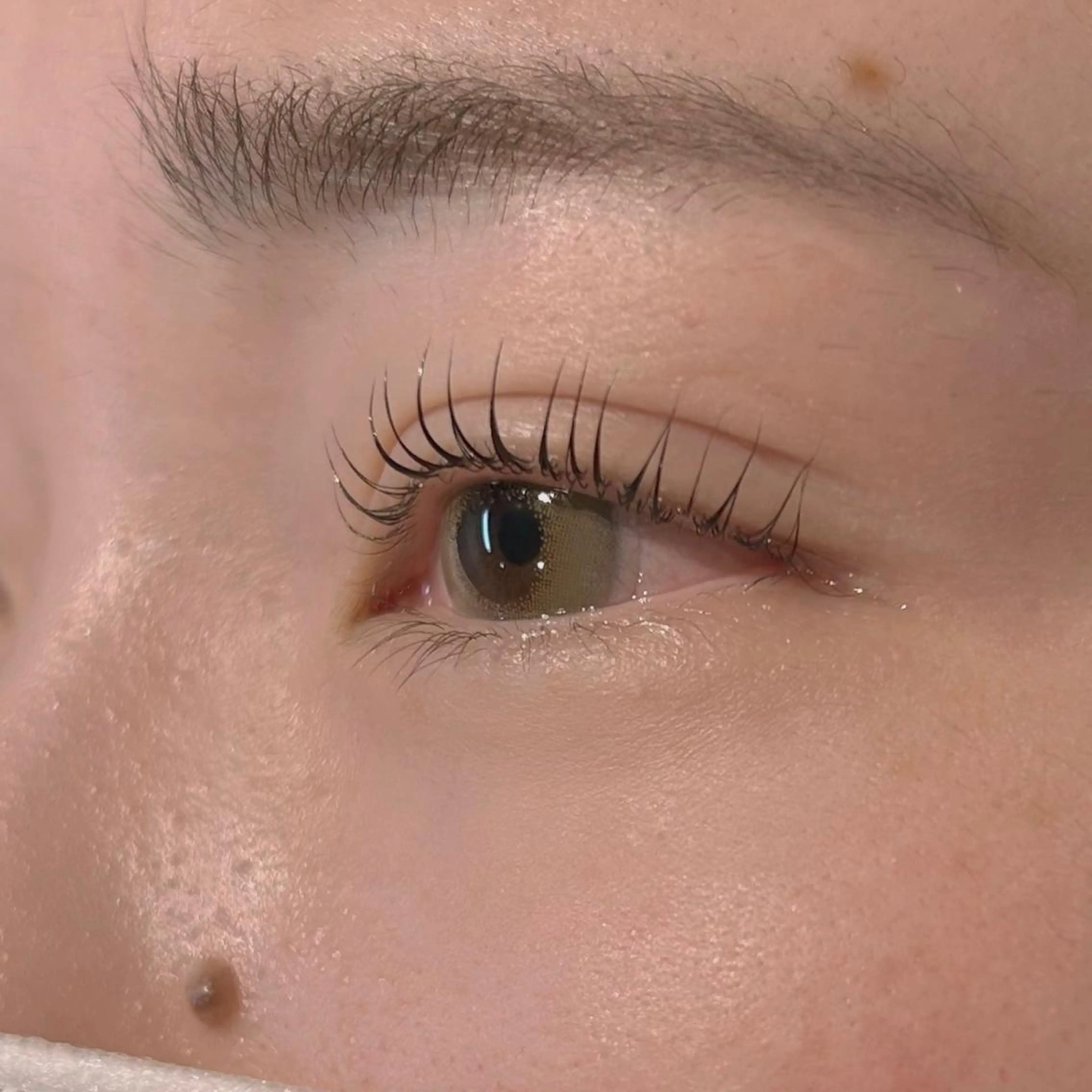 💚【パリジェンヌラッシュリフト】💚(コーティング&トリートメント付き)の写真