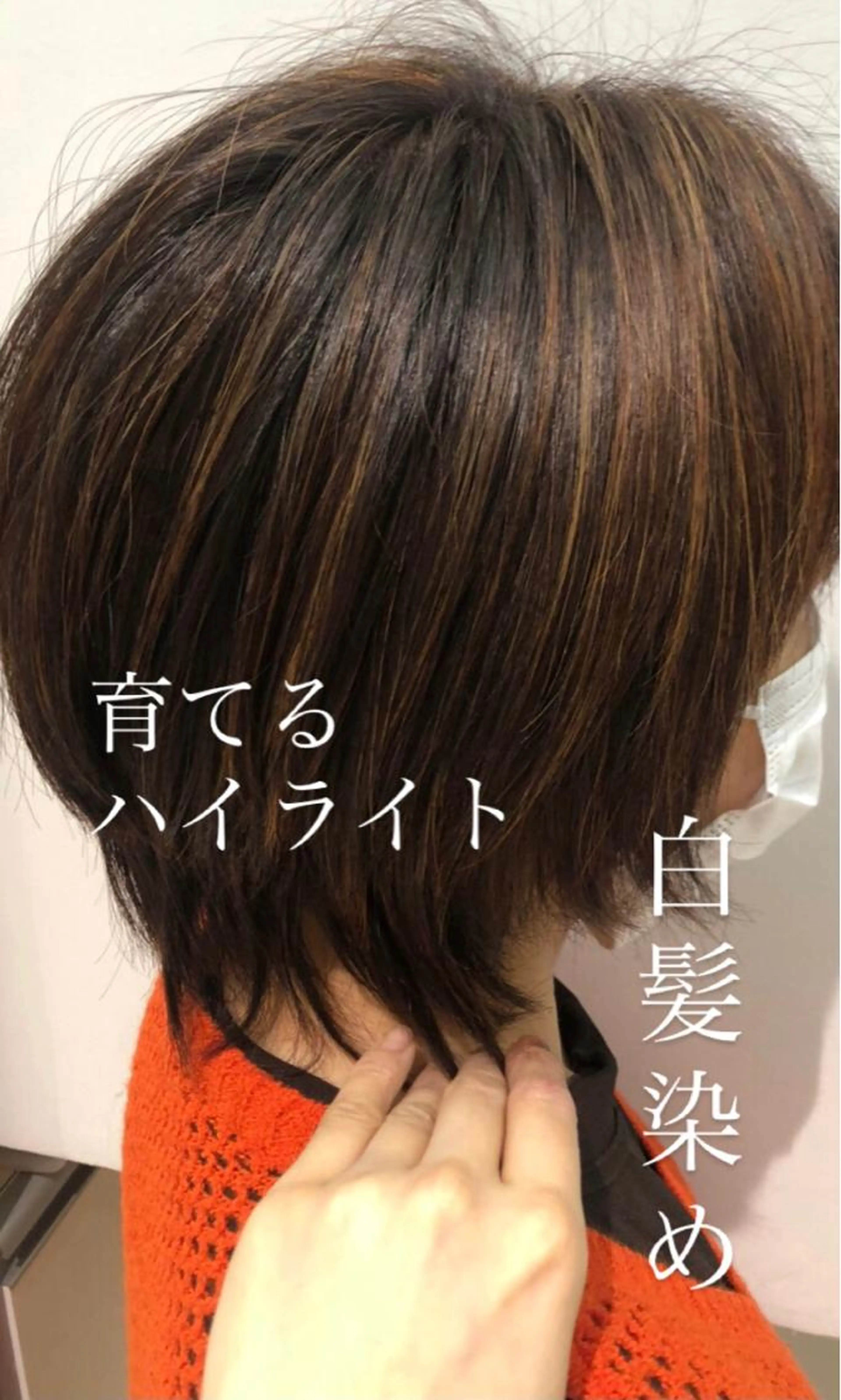 【白髪ぼかしハイライト】カット＋ハイライト＋イノアカラー＋3stepトリートメント【脱白髪染め】　¥15229の写真