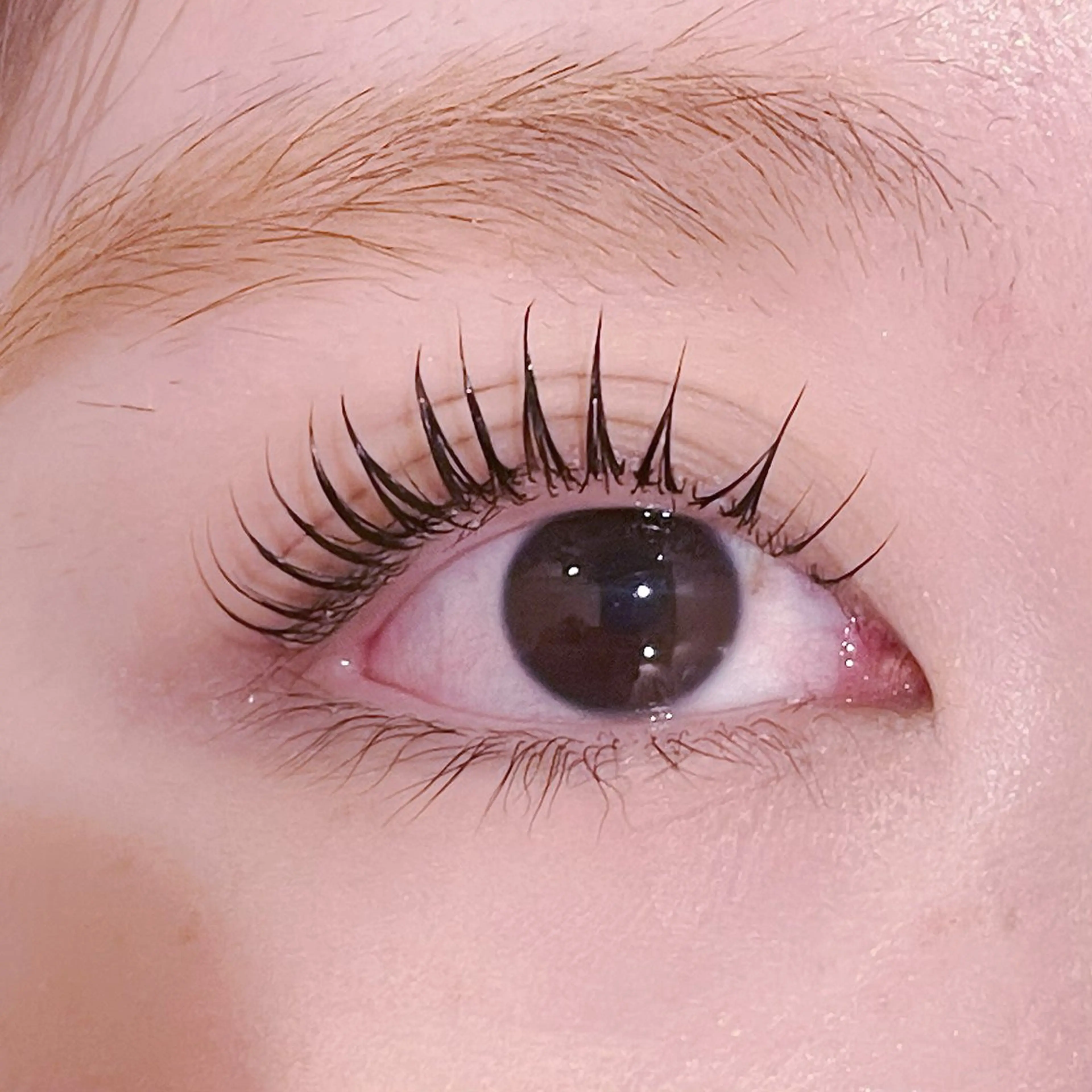 マツエク・マツパ pono大宮東口店 店長🩰AOHA🩰のマツエク・マツパデザイン