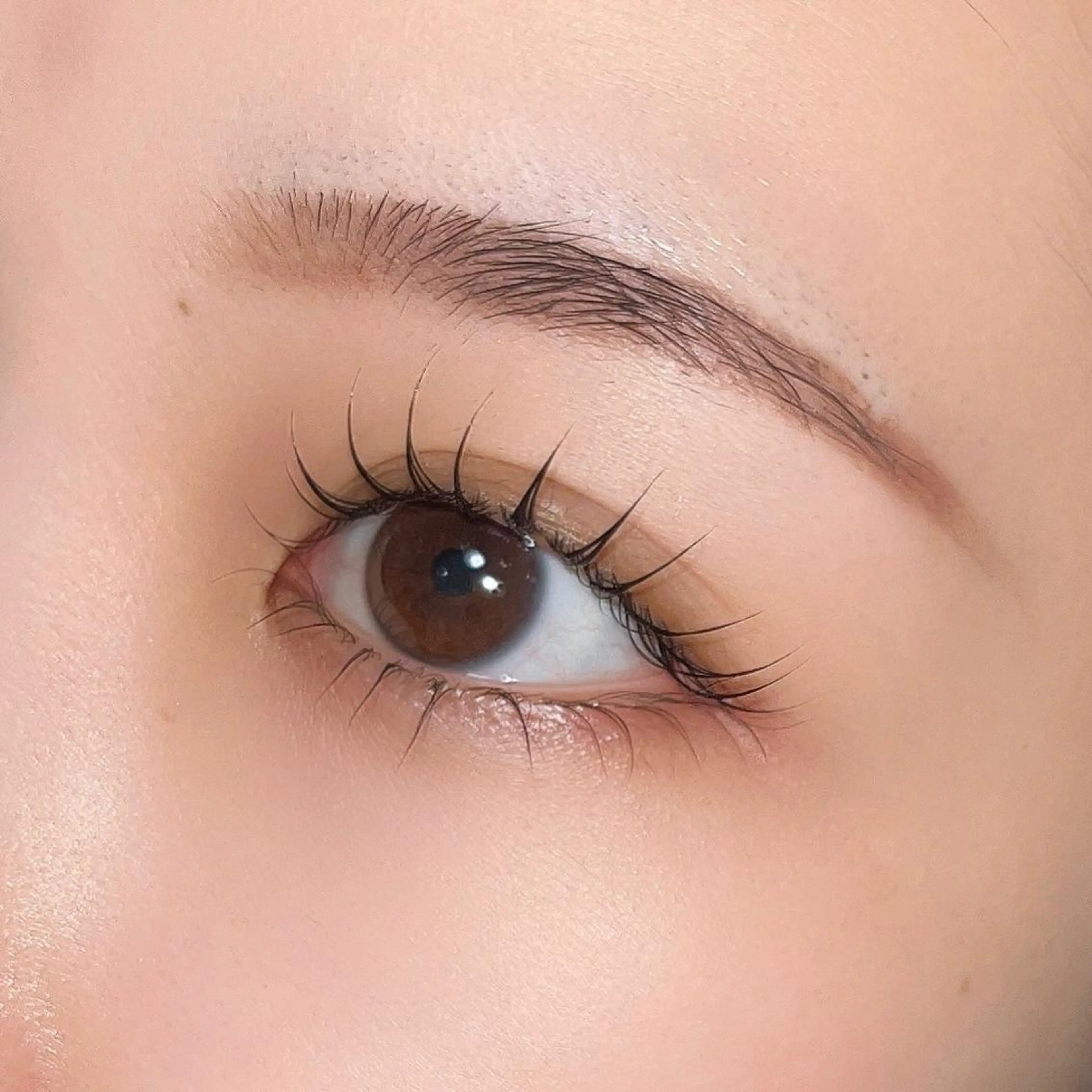 マツエク・マツパ 一重×まつ毛パーマ マツパ TAKAHASHI HINAKO🐈🎀のマツエク・マツパデザイン