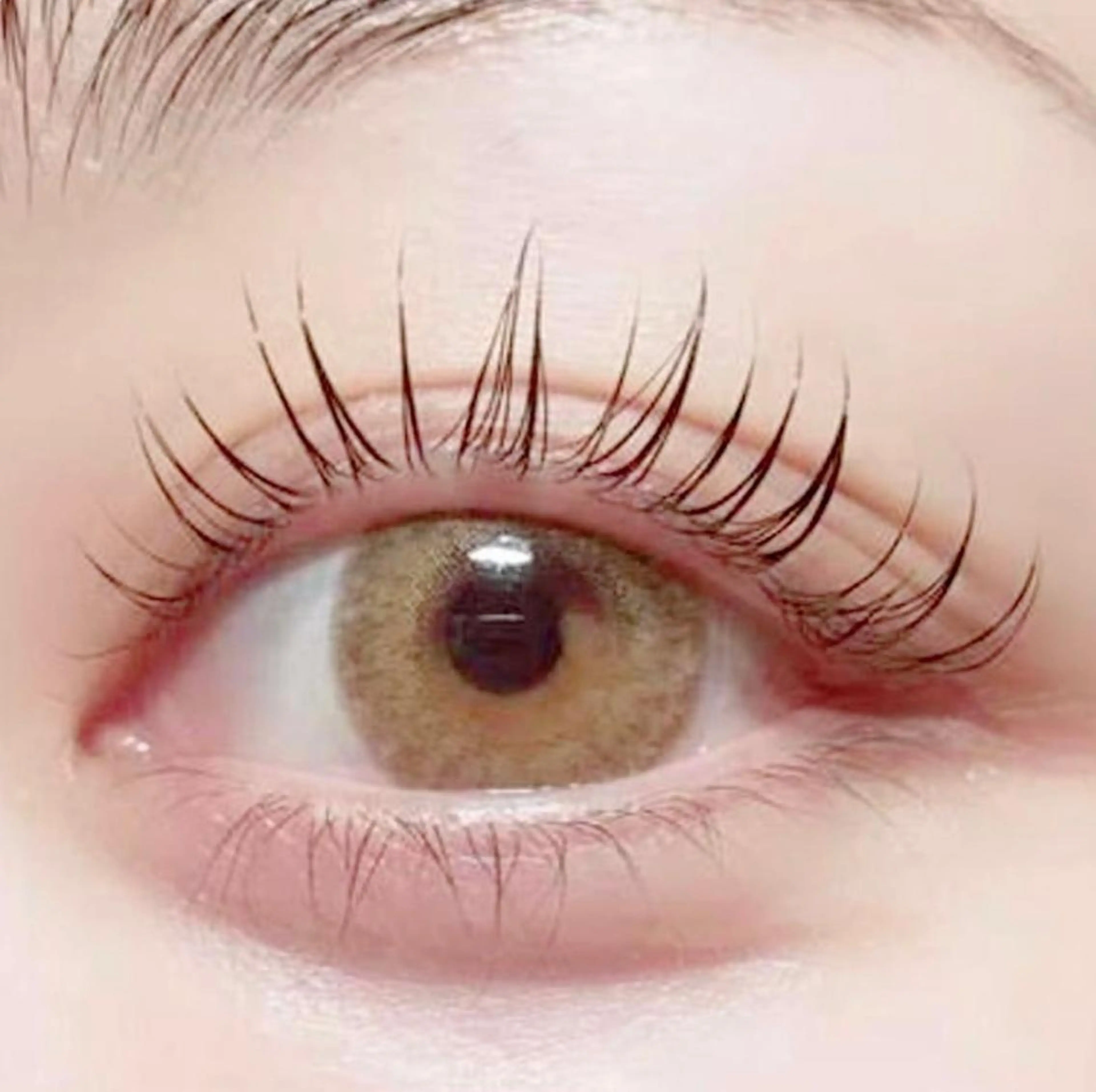 マツエク・マツパ 🌸Leviju桂店 店長Saki🌸のヘアスタイル