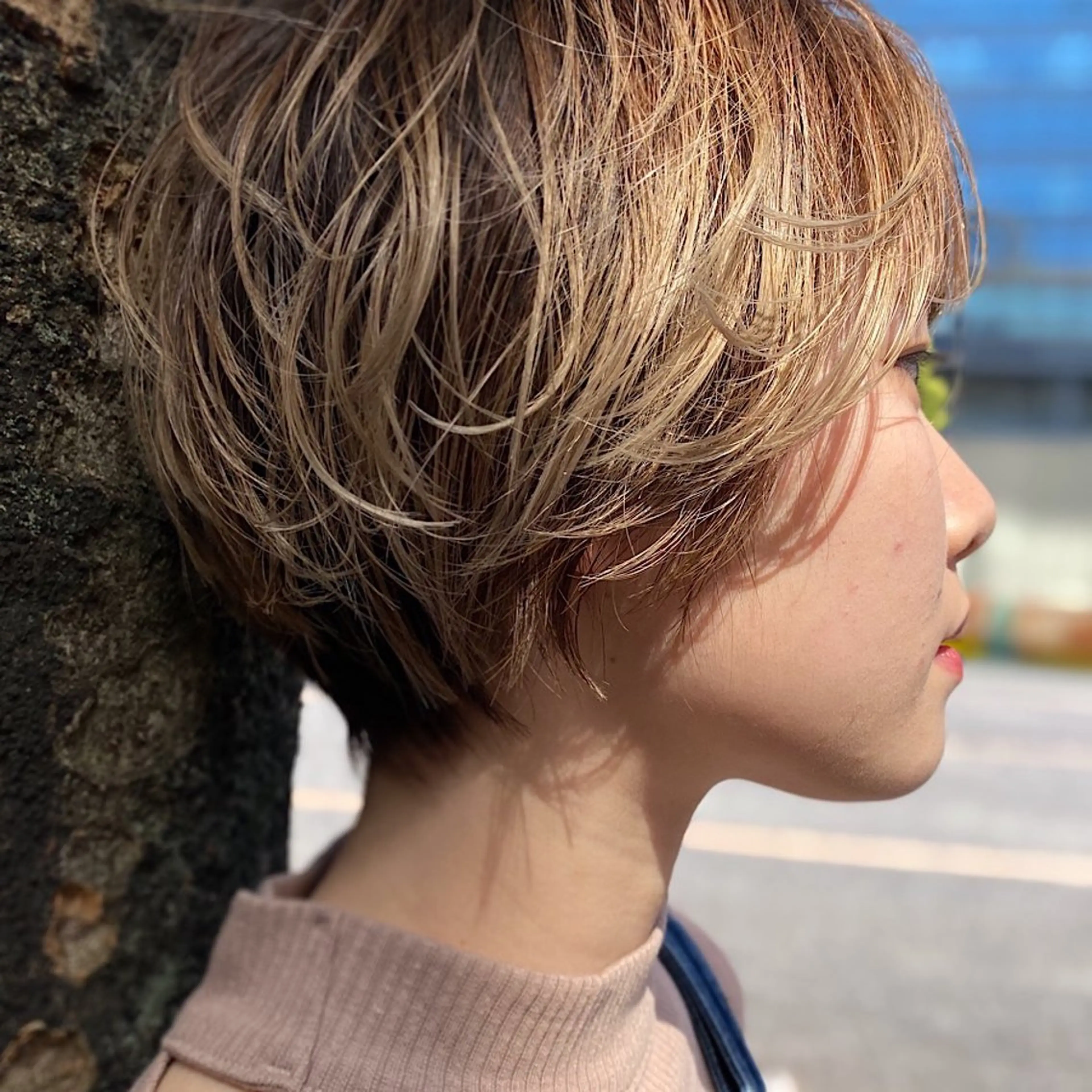 ショート ハイライト アシカガ ヨウコのヘアスタイル