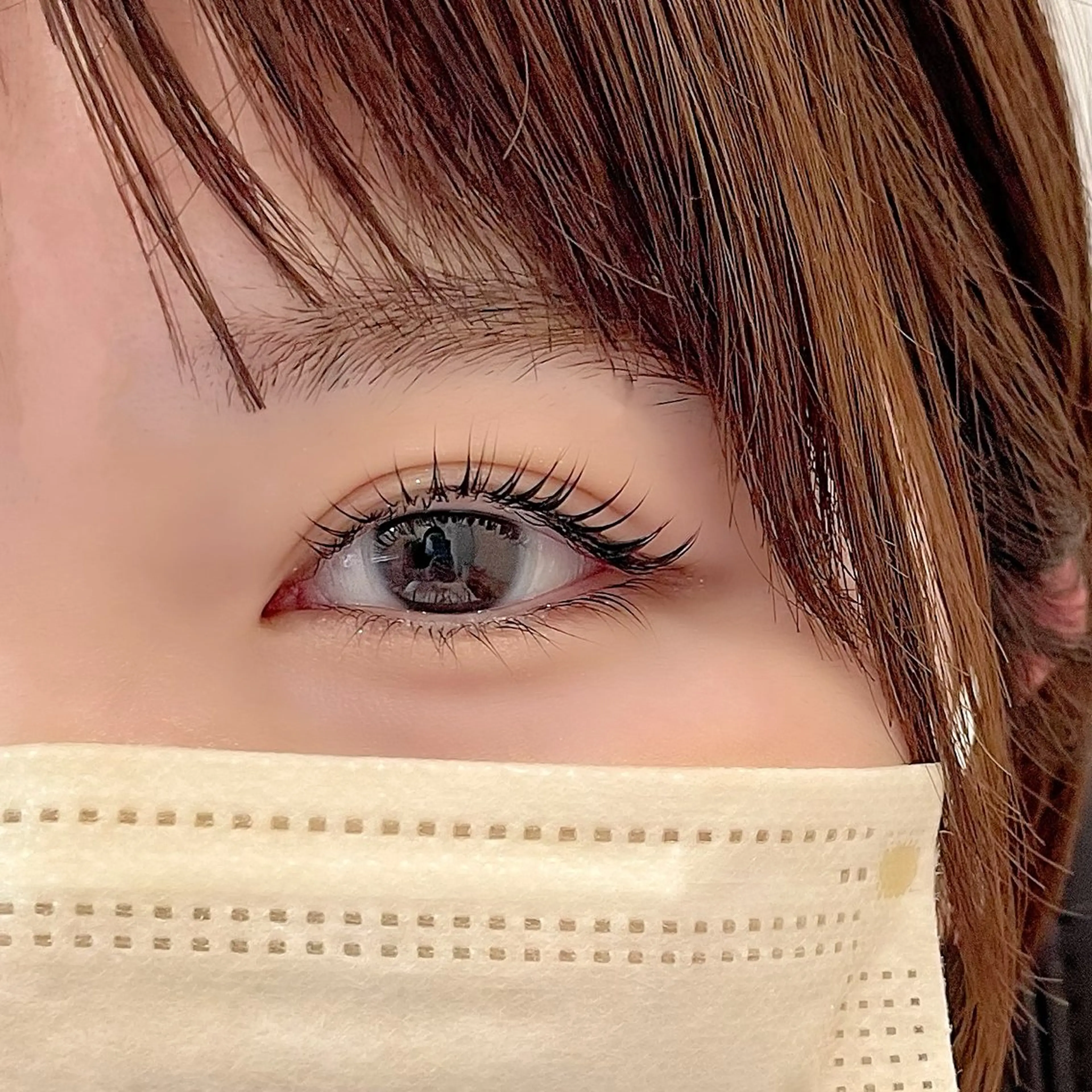 💛上下ラッシュリフト💛 《トリートメント&アイシャンプー付き》の写真