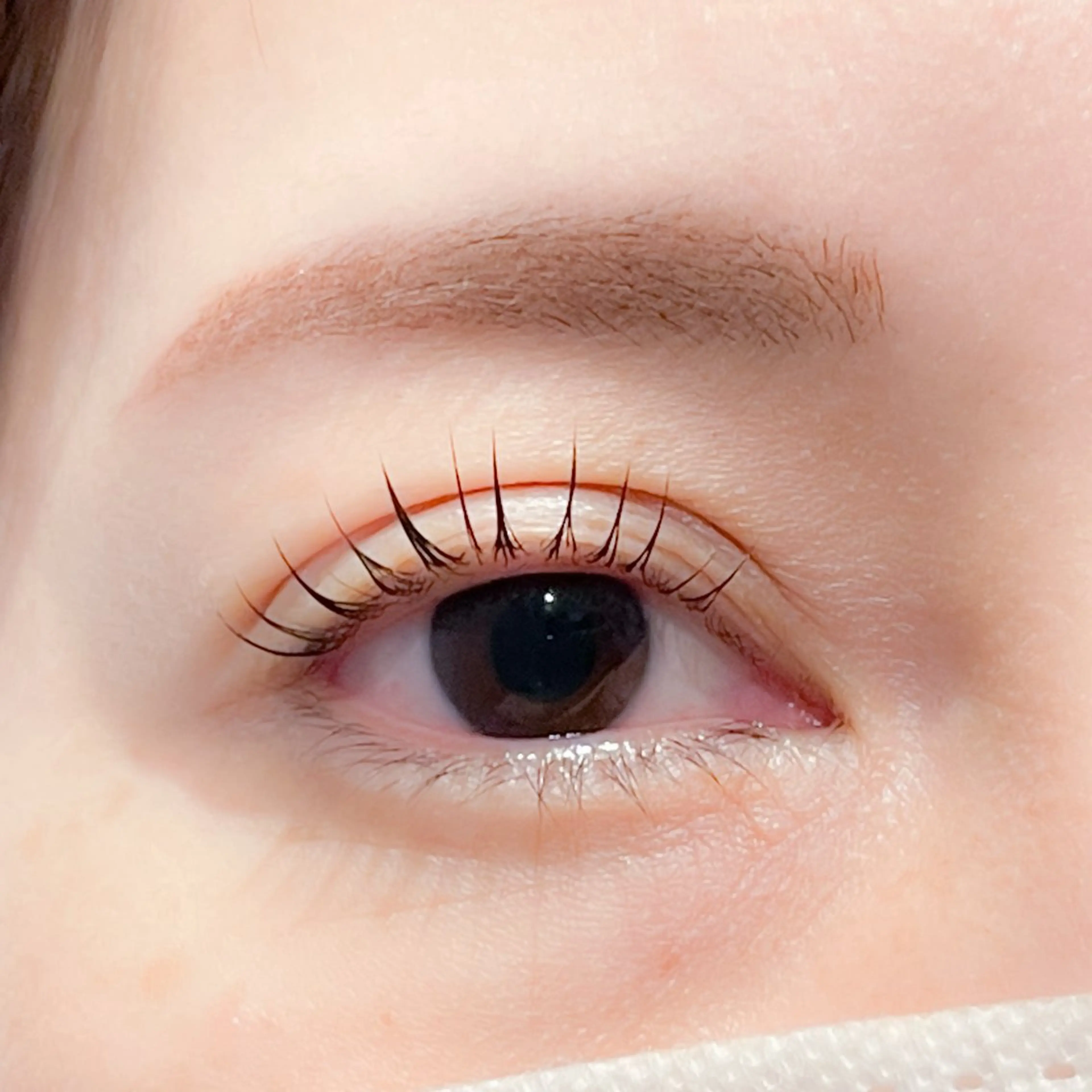 マツエク・マツパ 飯田/Tomo's HairDesignのマツエク・マツパデザイン