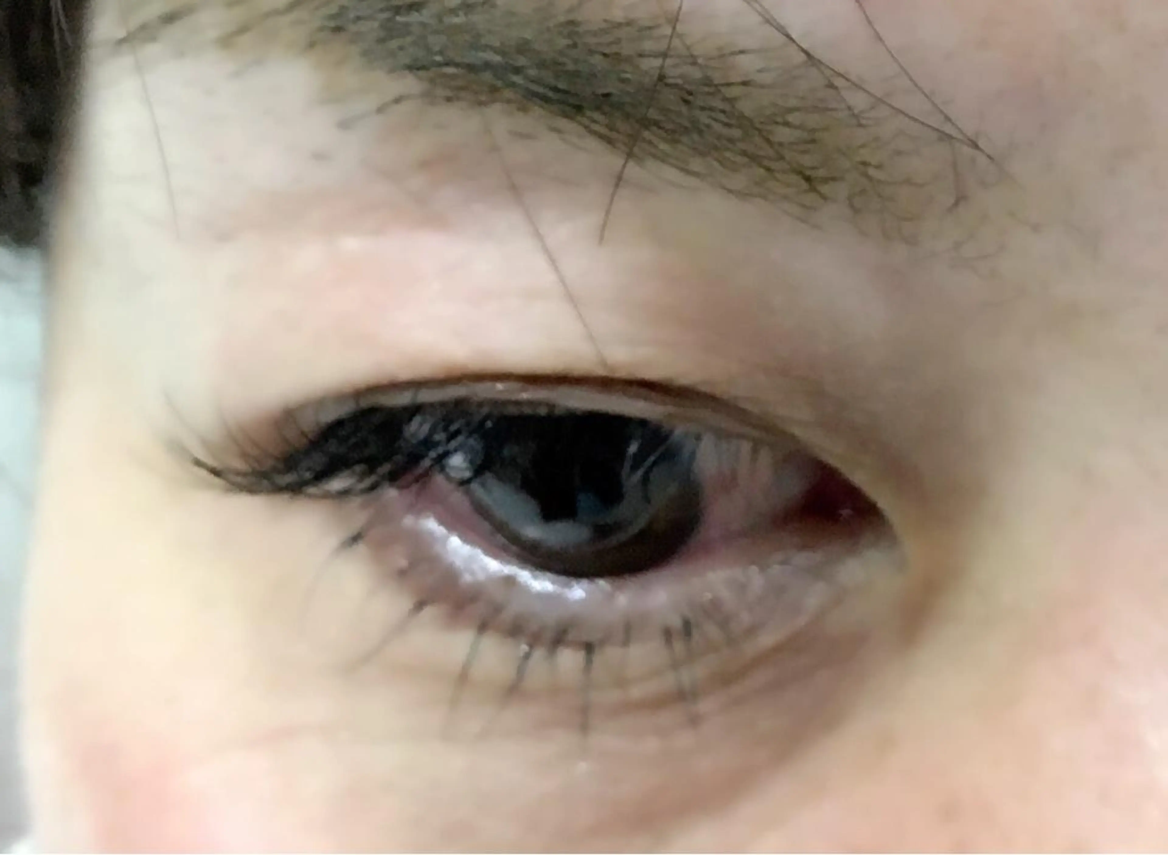 マツエク・マツパ Cカール フラットラッシュ ナチュラル 下まつげエクステ ma-pa所属・ma-pa eye＆hairのマツエク・マツパデザイン