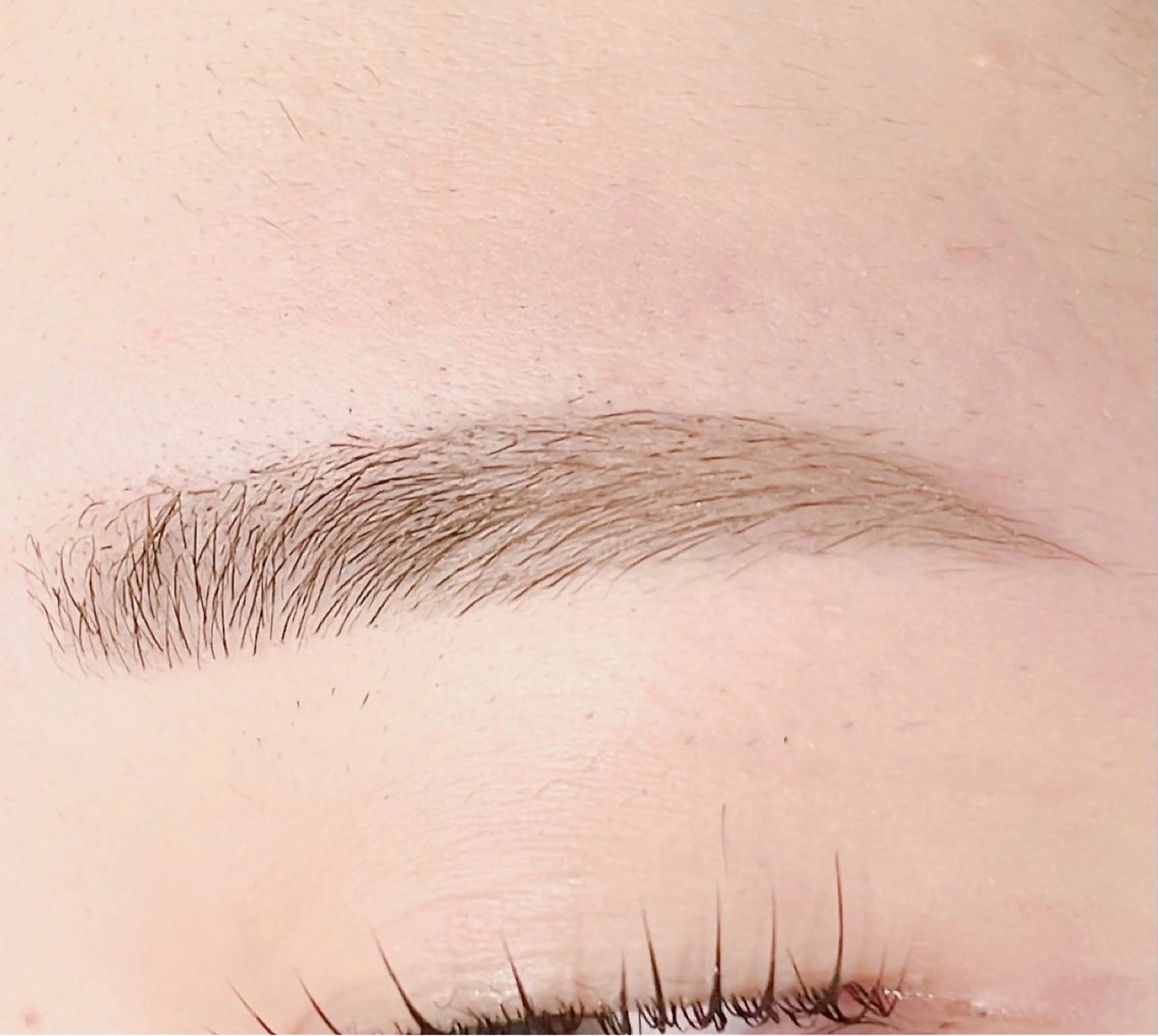 ☀️アイブロウWAX☀️メイク仕上げ✨の写真