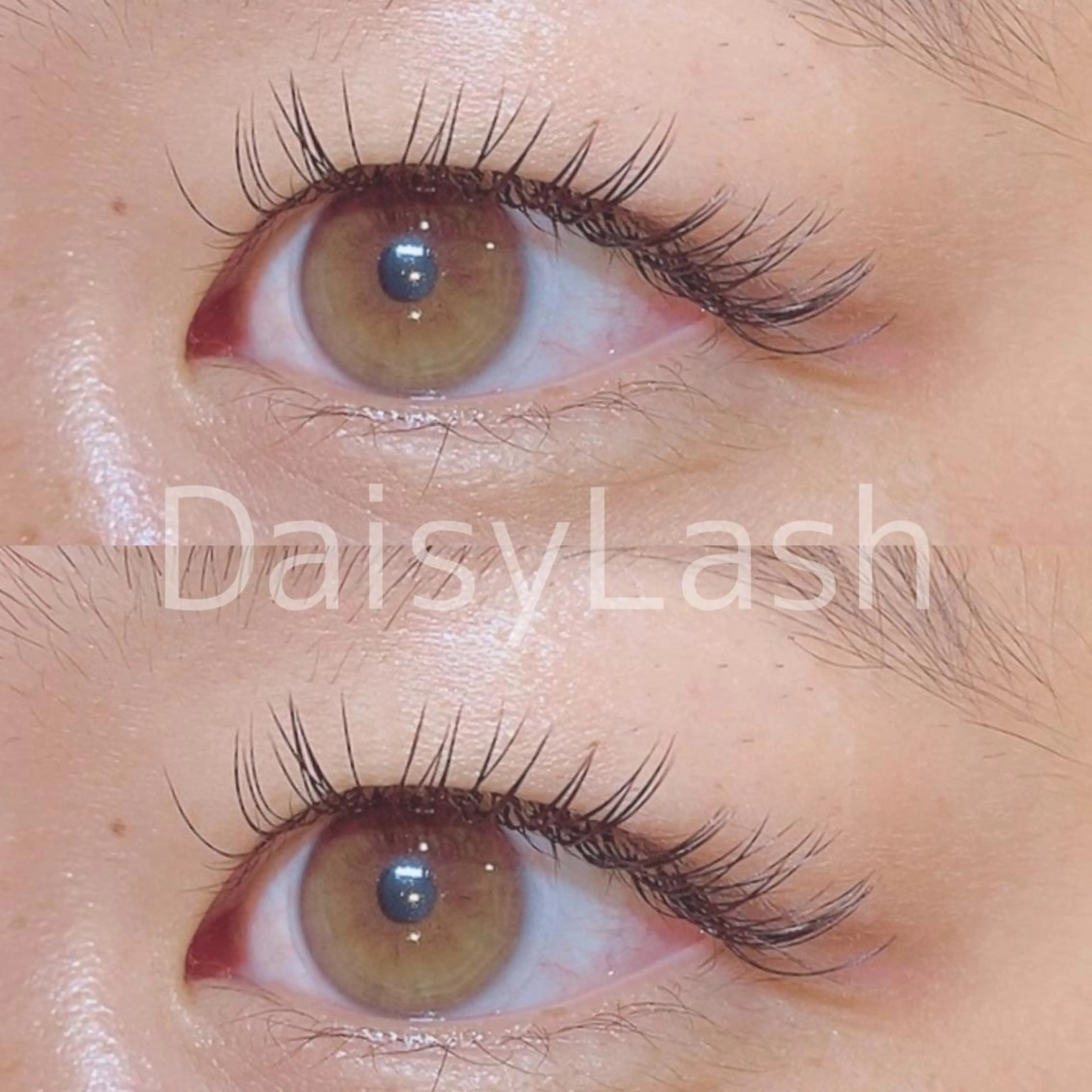 マツエク・マツパ DaisyLash 京橋店のマツエク・マツパデザイン