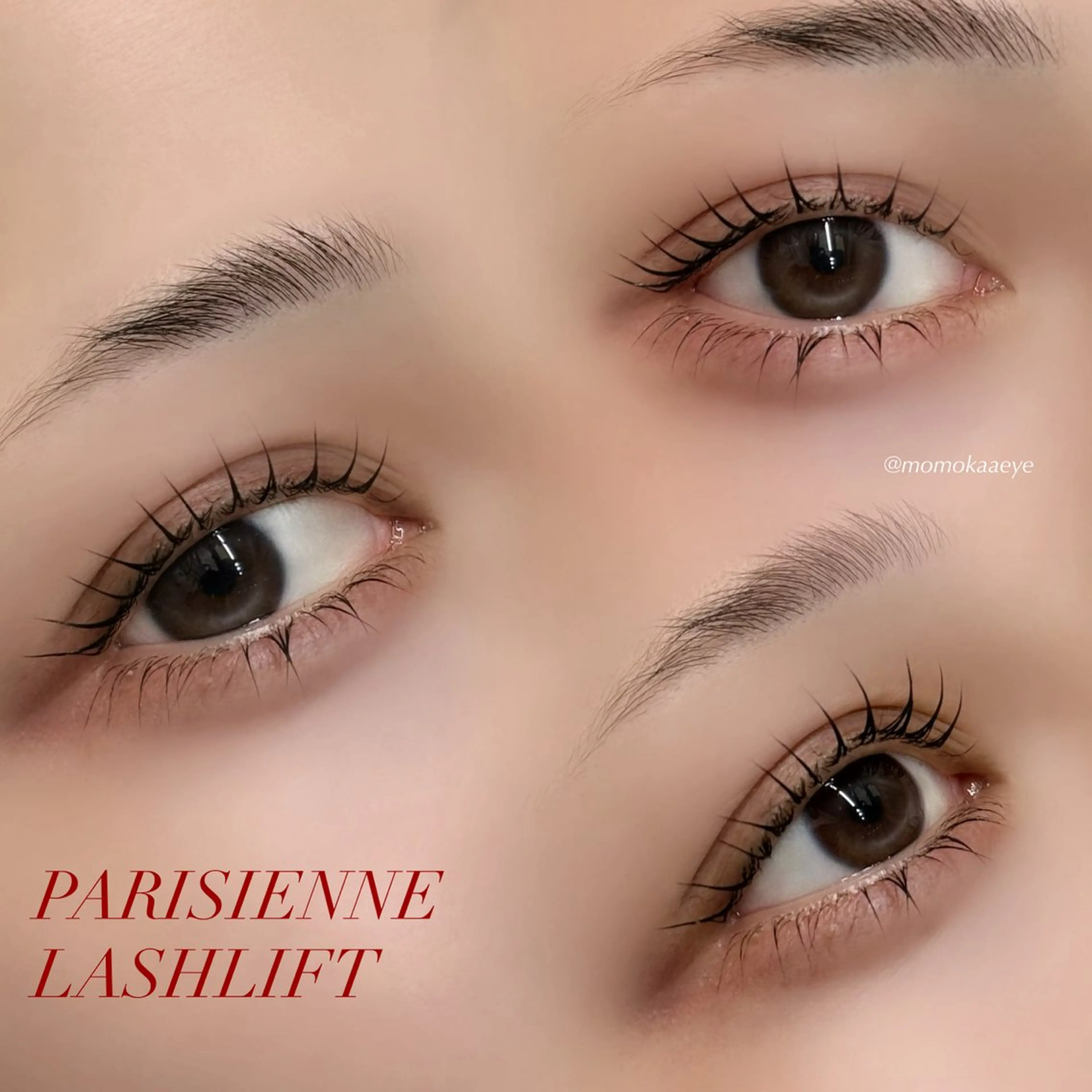 マツエク・マツパ パリジェンヌラッシュリフト マツパ ＭＯＭＯＫＡ .のマツエク・マツパデザイン