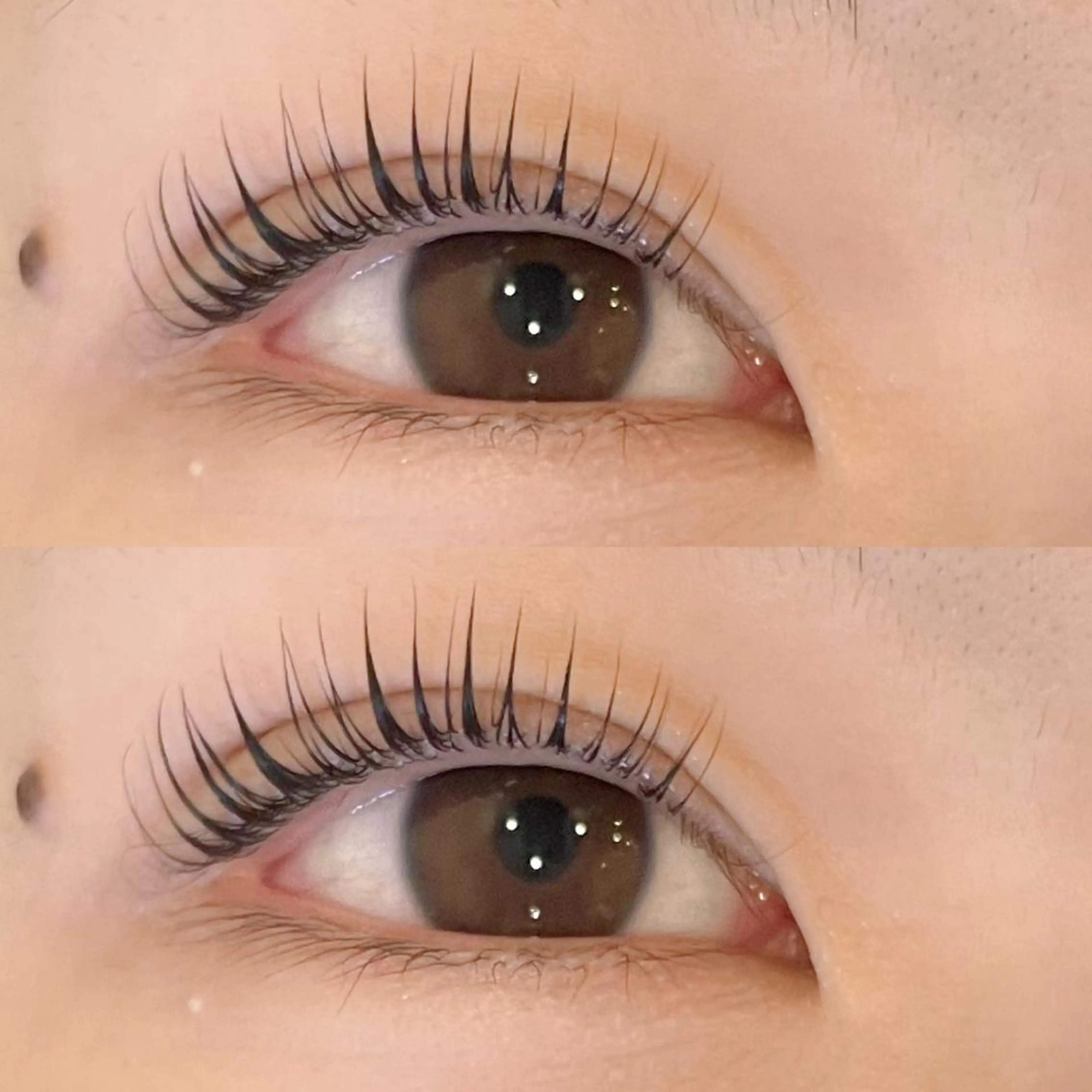 マツエク・マツパ Daisy Lash 難波店所属・sakurablow 峠のマツエク・マツパデザイン